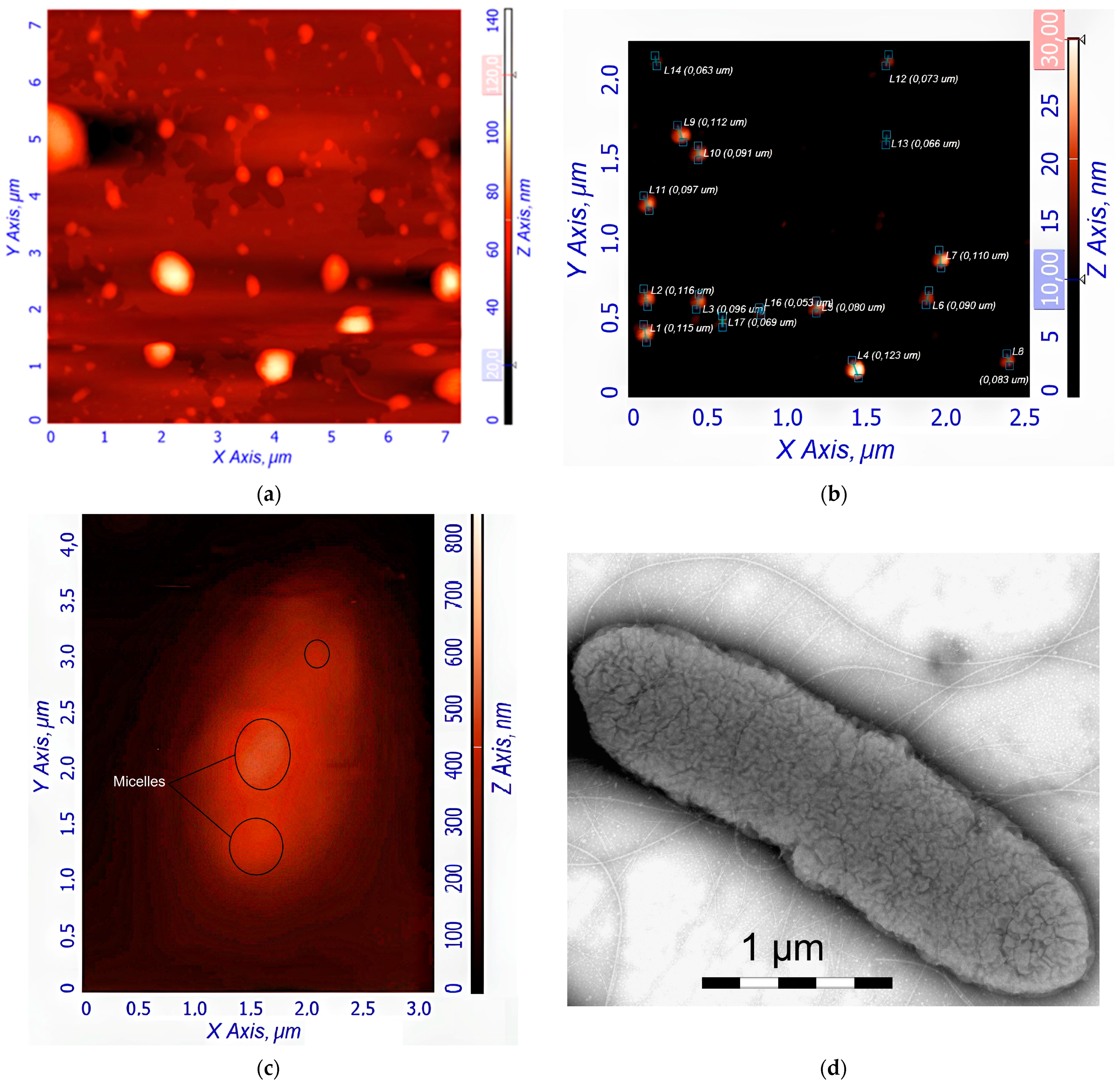Polymers 17 00790 g003a