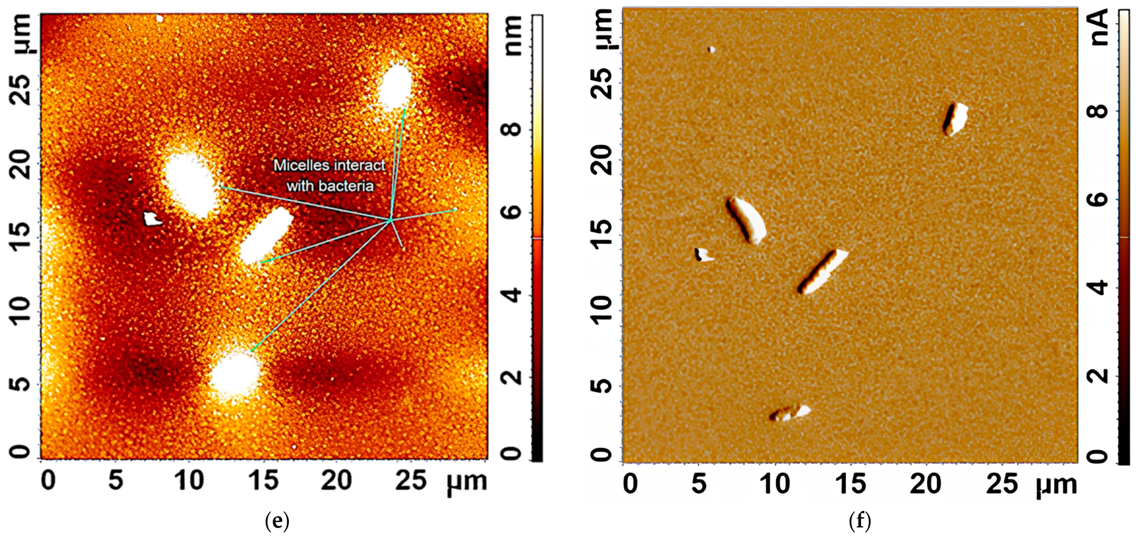 Polymers 17 00790 g003b