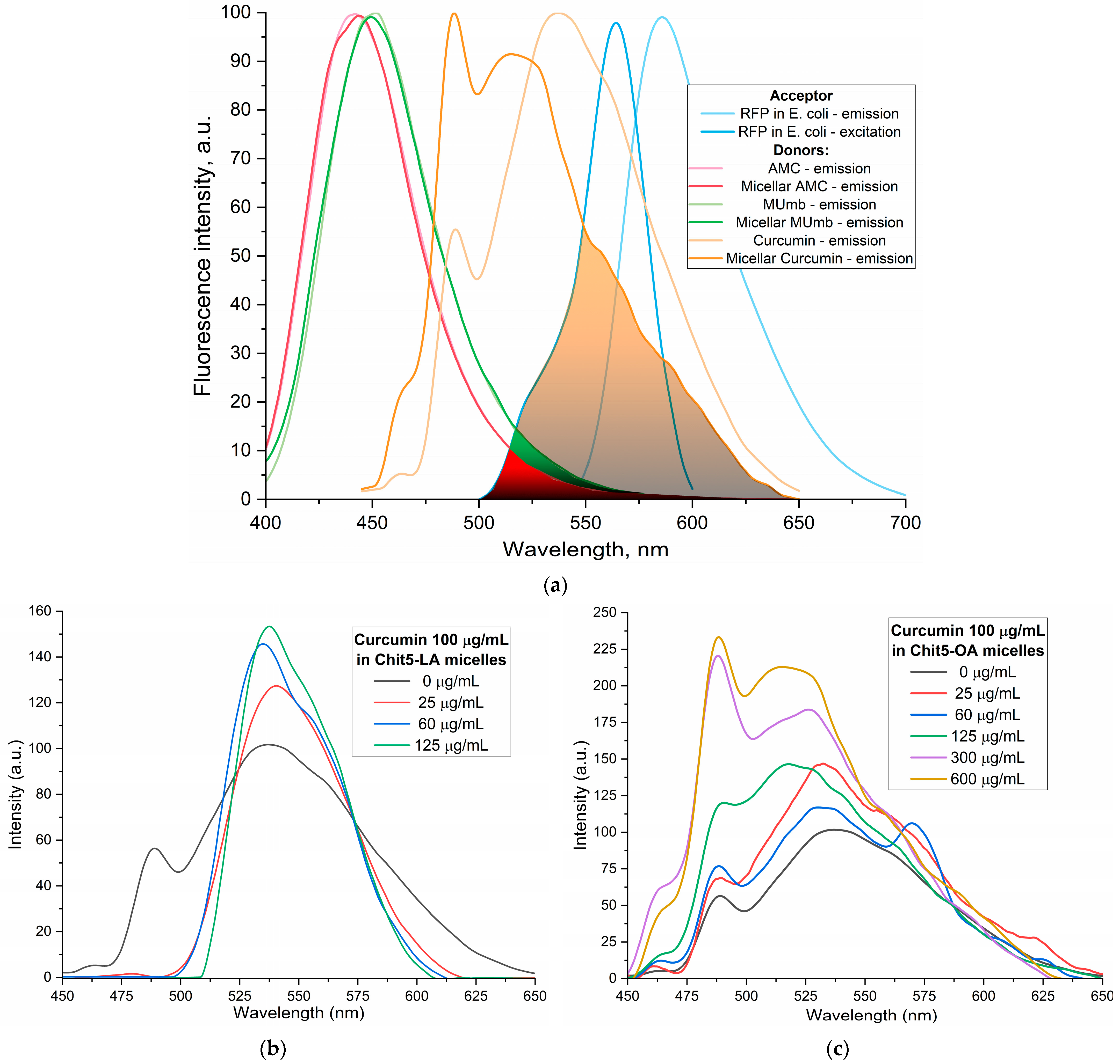 Polymers 17 00790 g004a