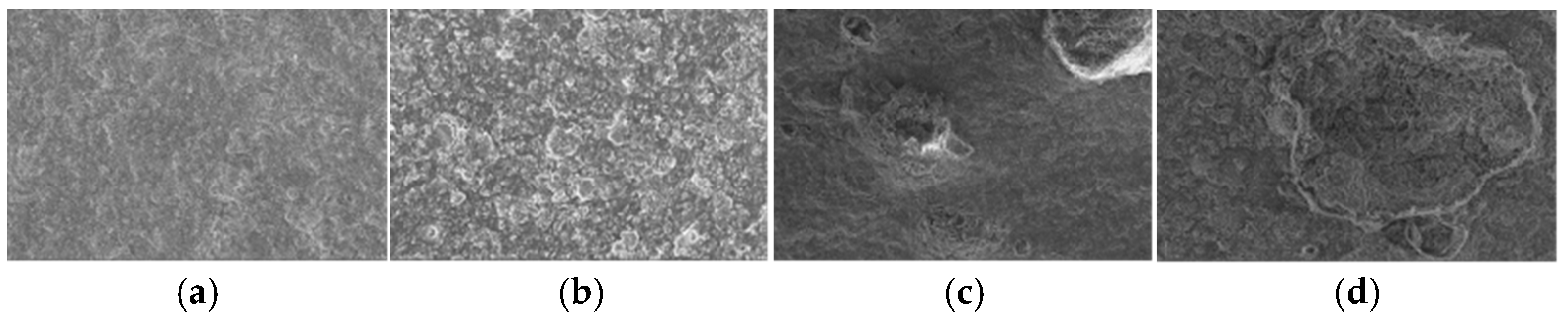 Polymers 17 00794 g007