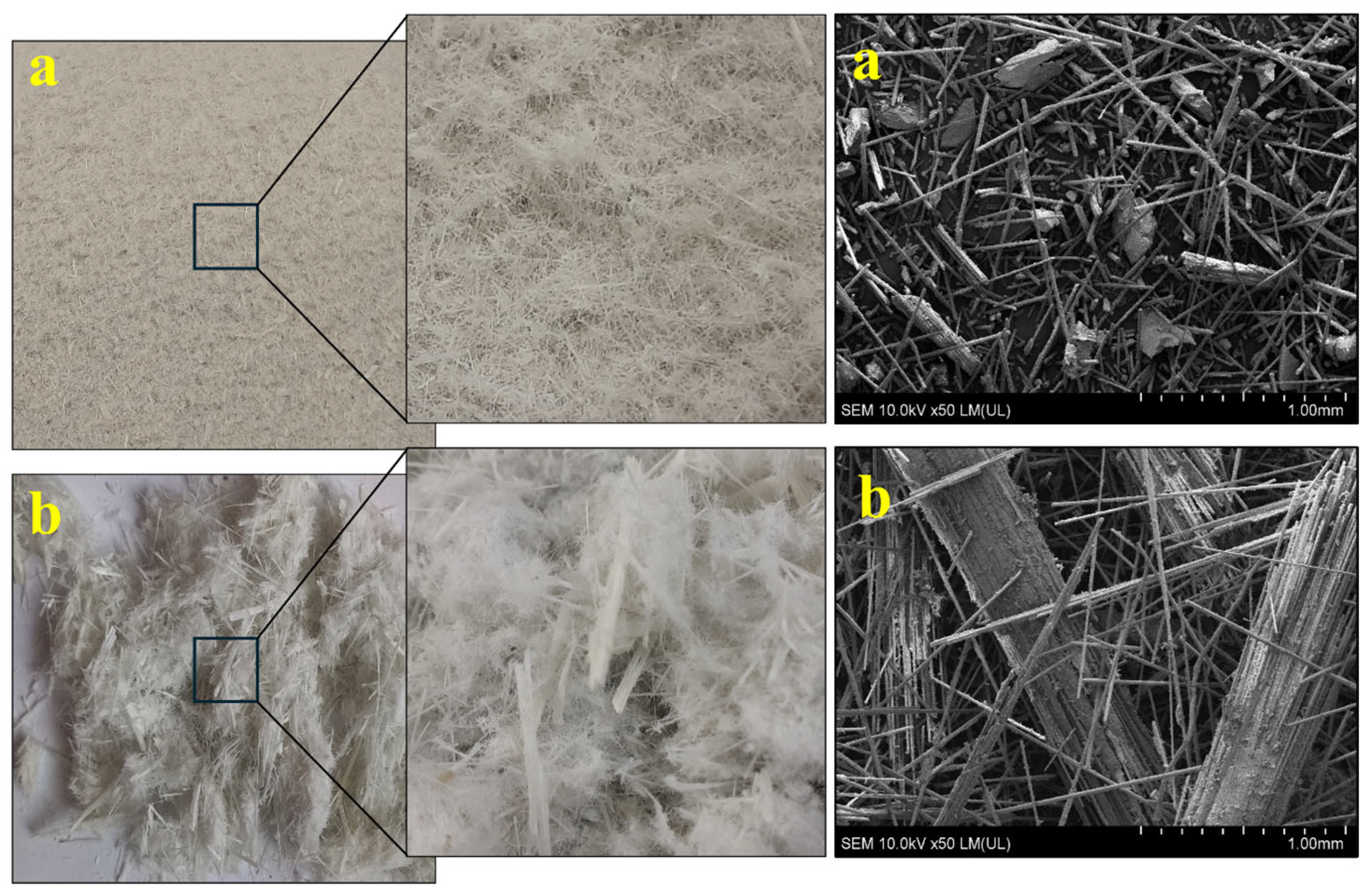 Polymers 17 00796 g001
