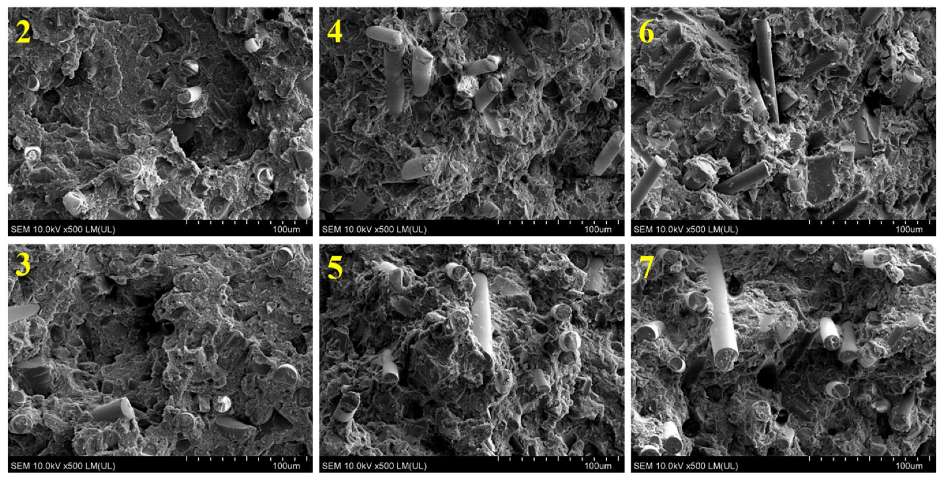 Polymers 17 00796 g005