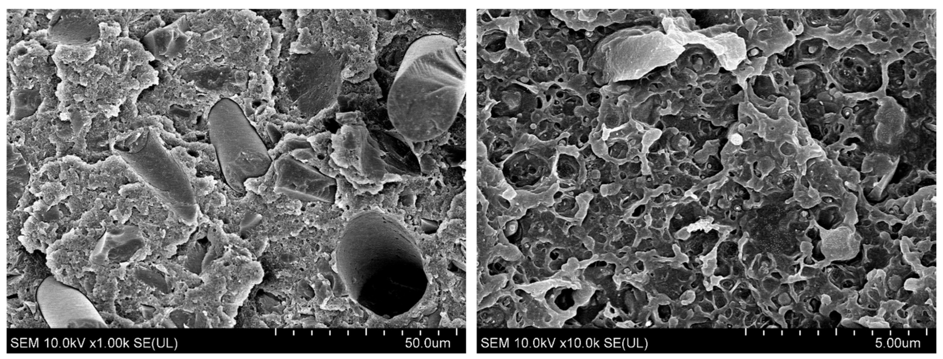 Polymers 17 00796 g006