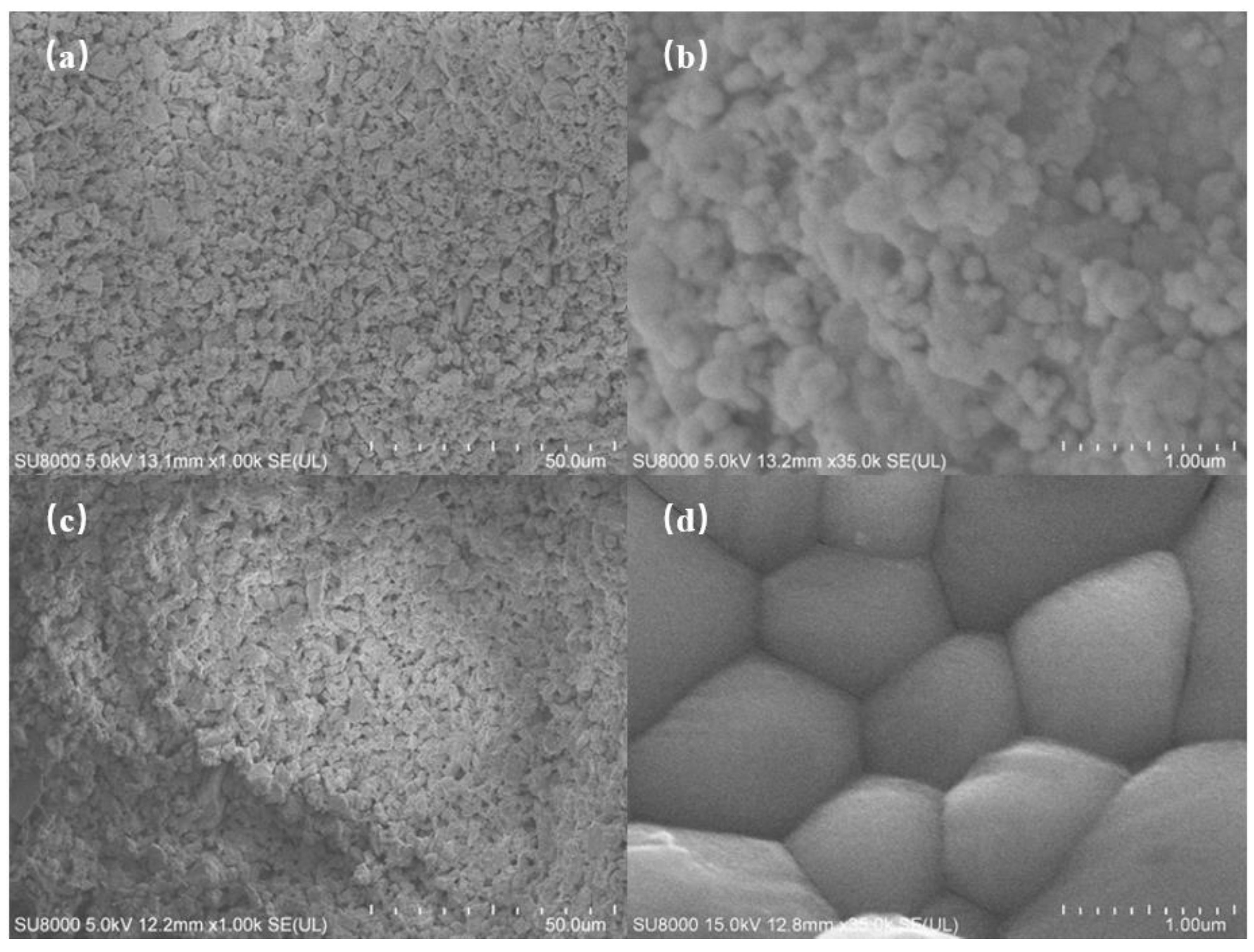 Polymers 17 00797 g012