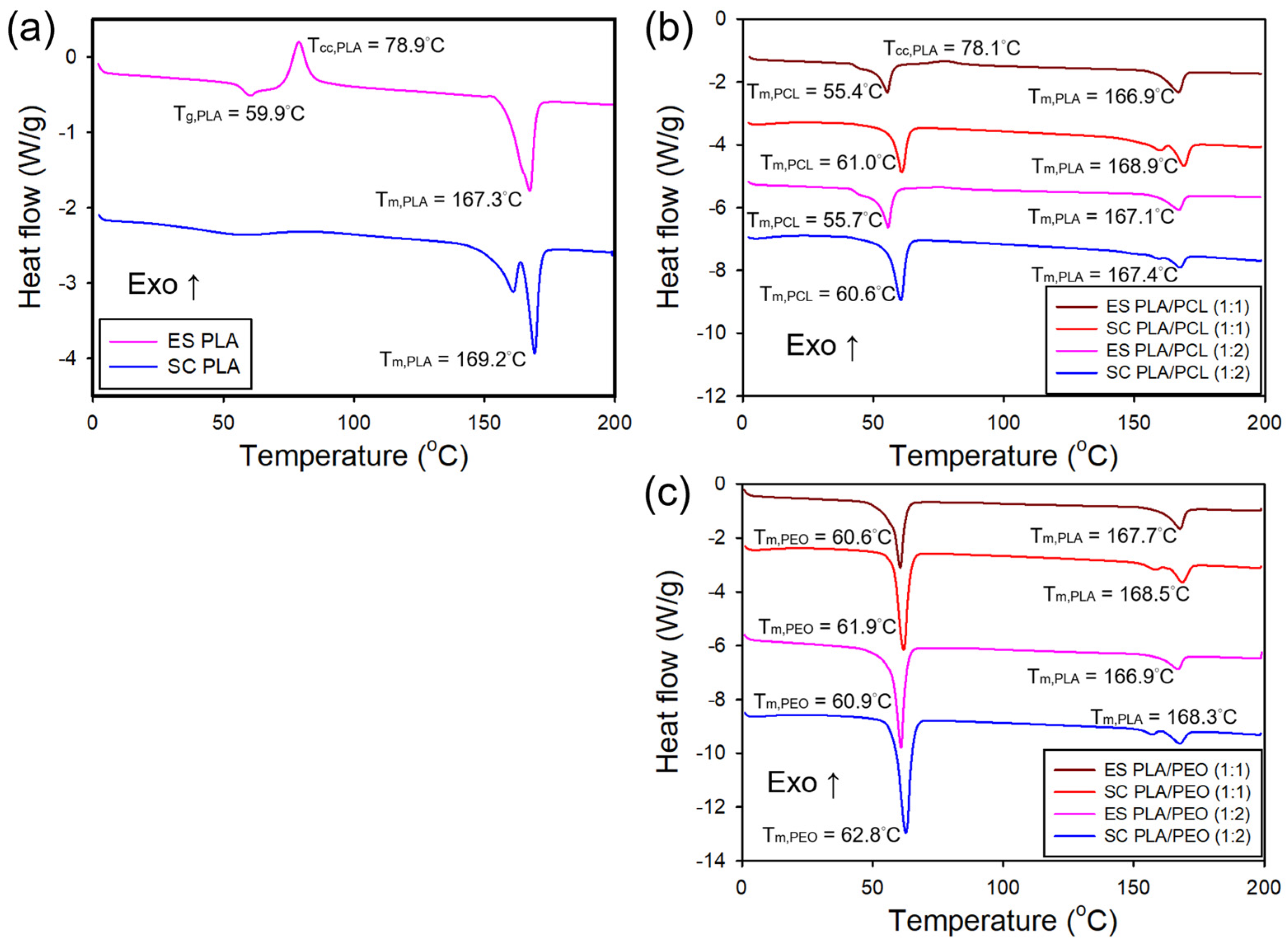 Polymers 17 00800 g007
