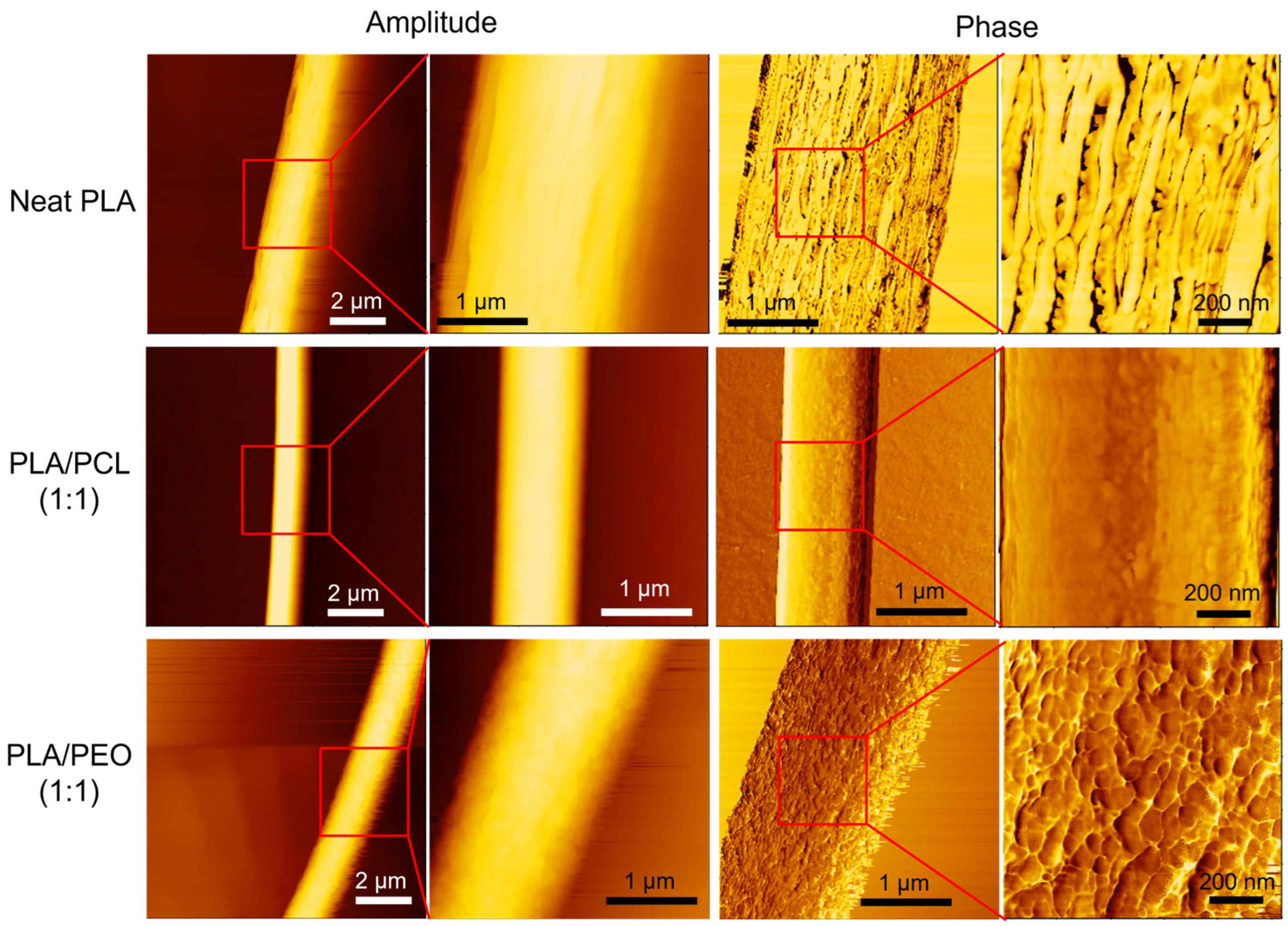 Polymers 17 00800 g012
