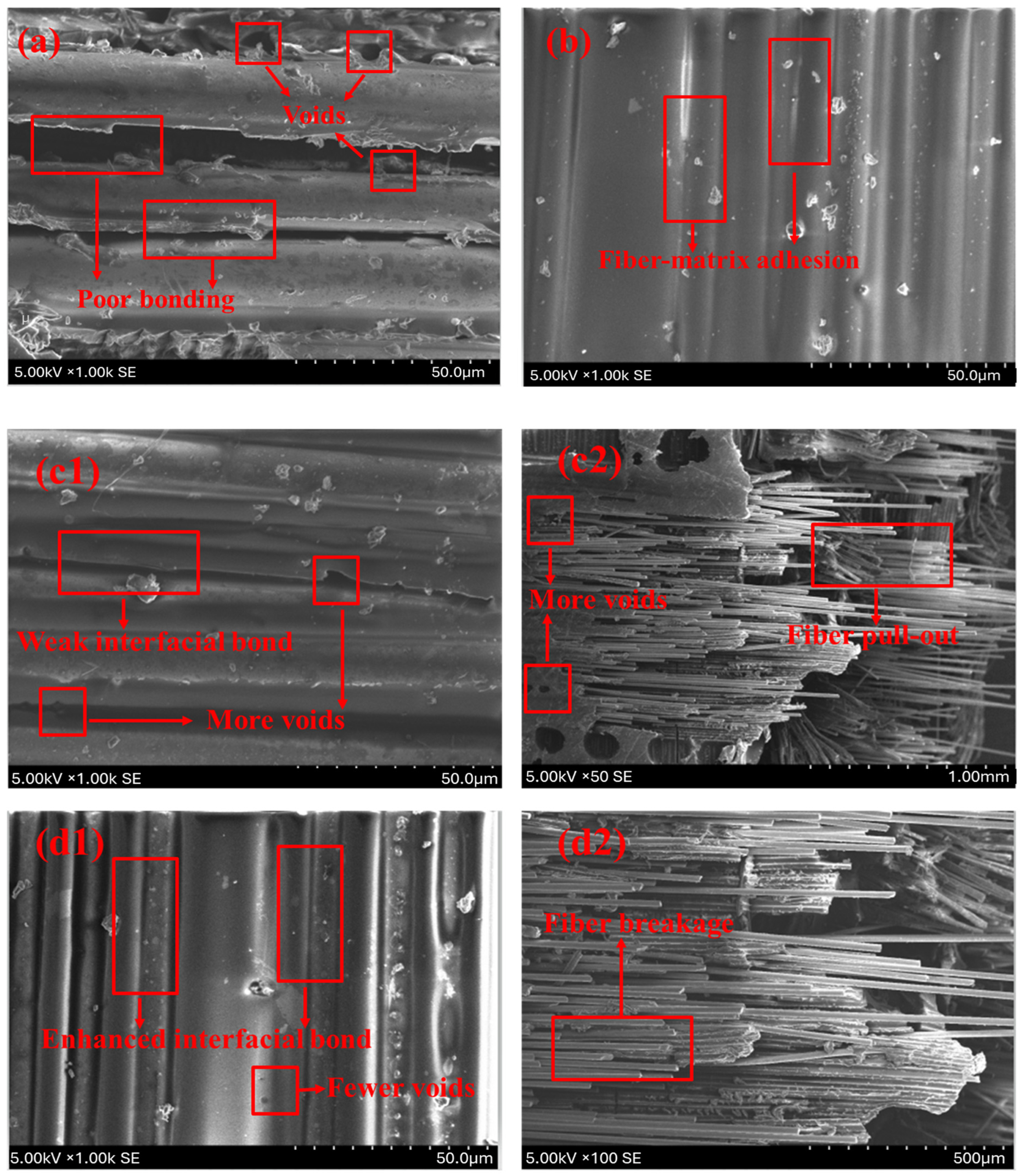 Polymers 17 00804 g006