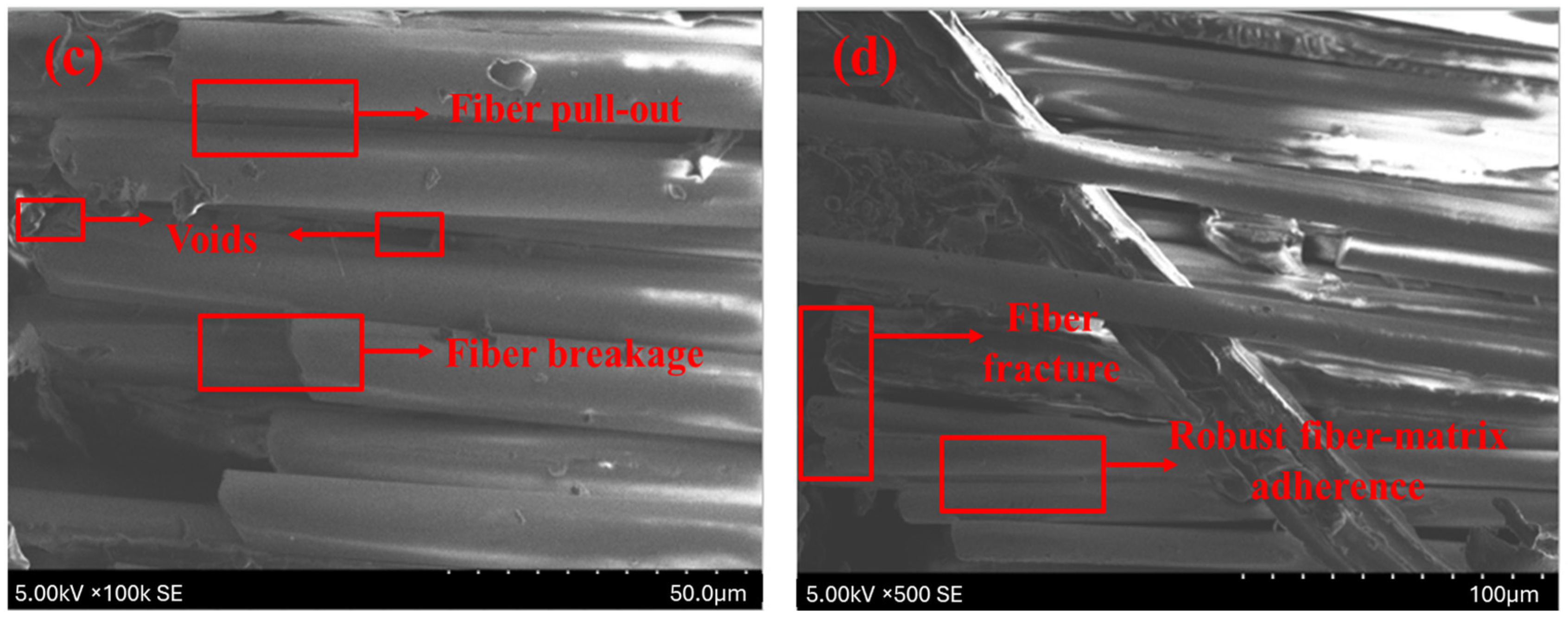 Polymers 17 00804 g010b