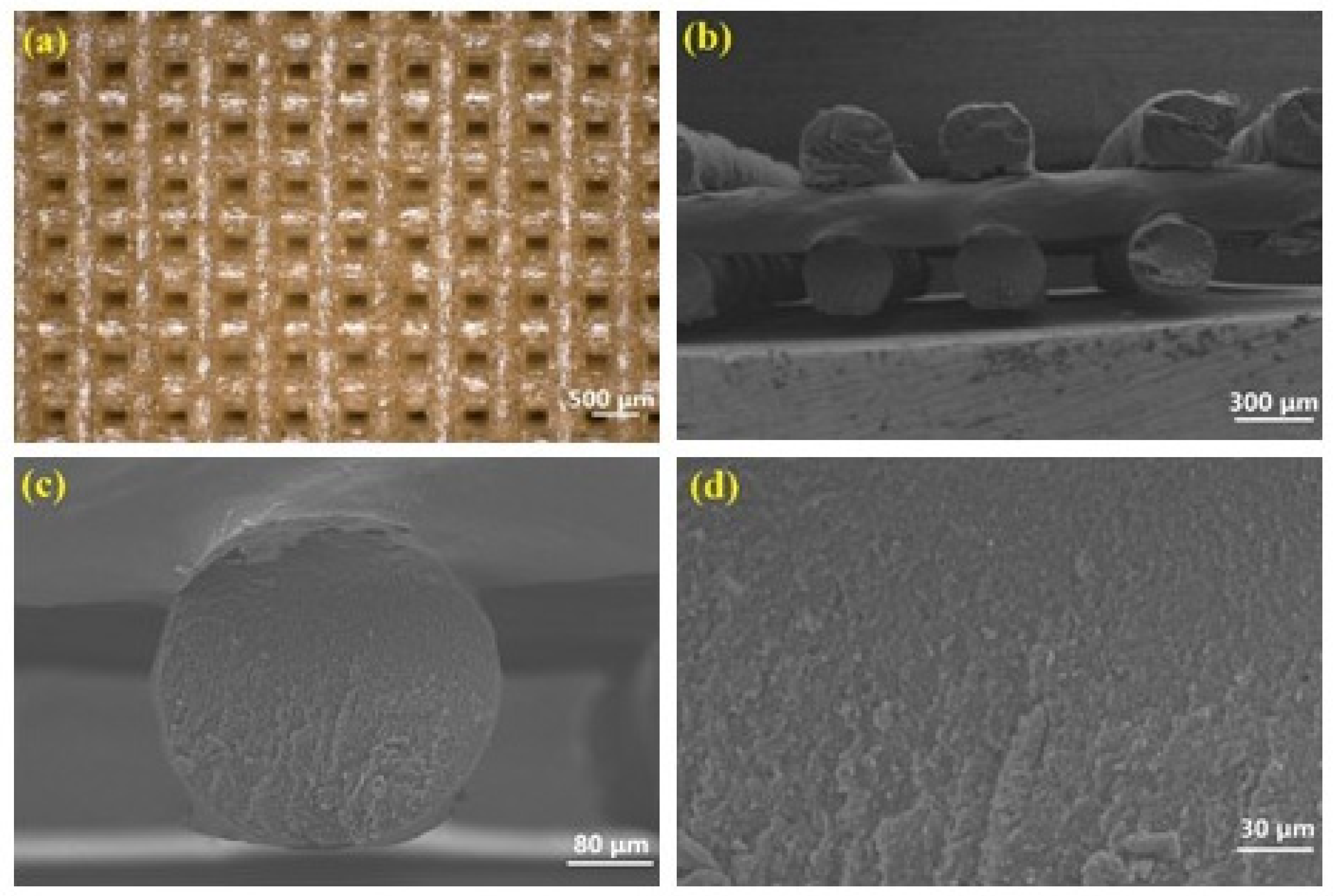Polymers 17 00808 g004