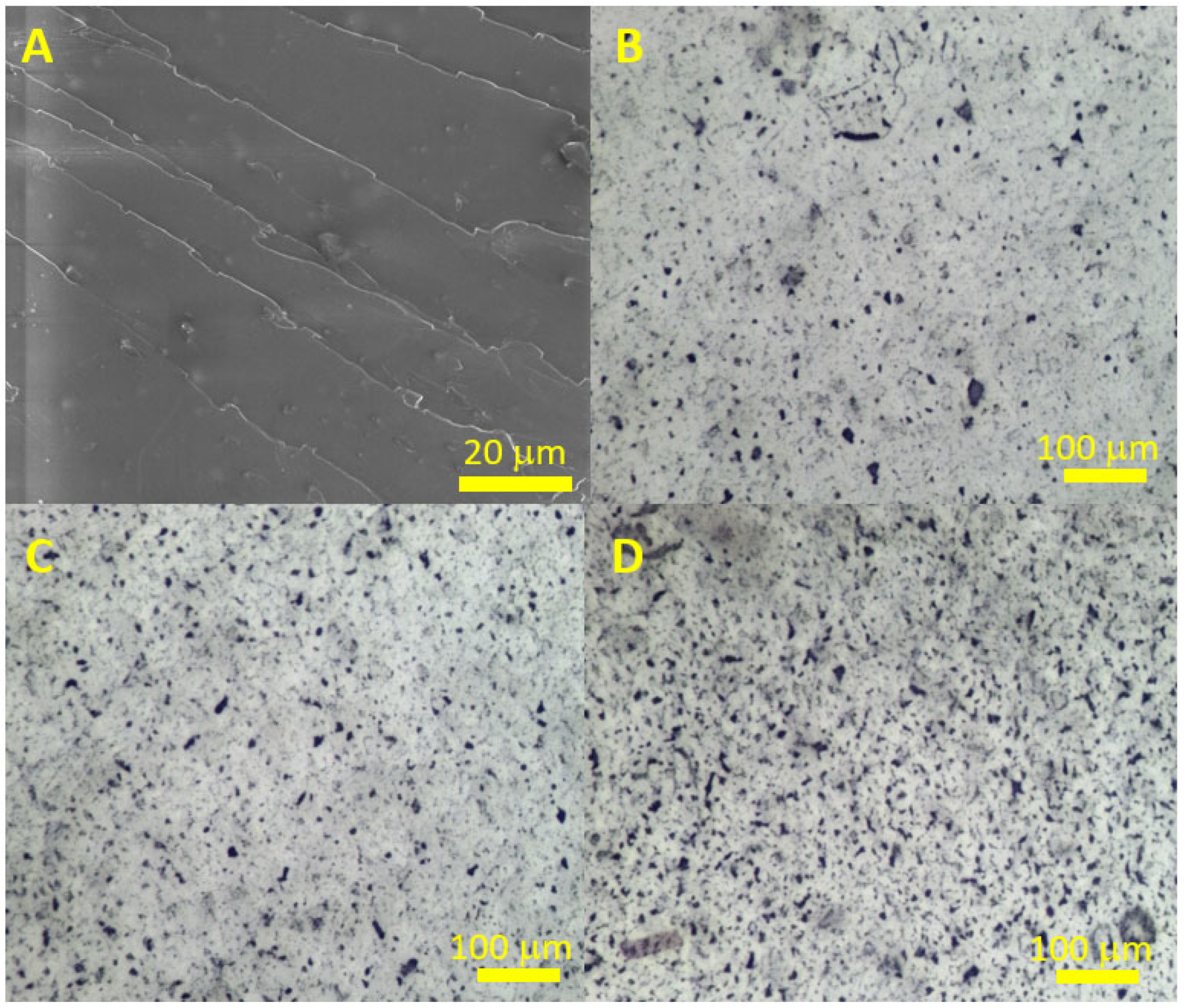 Polymers 17 00812 g006