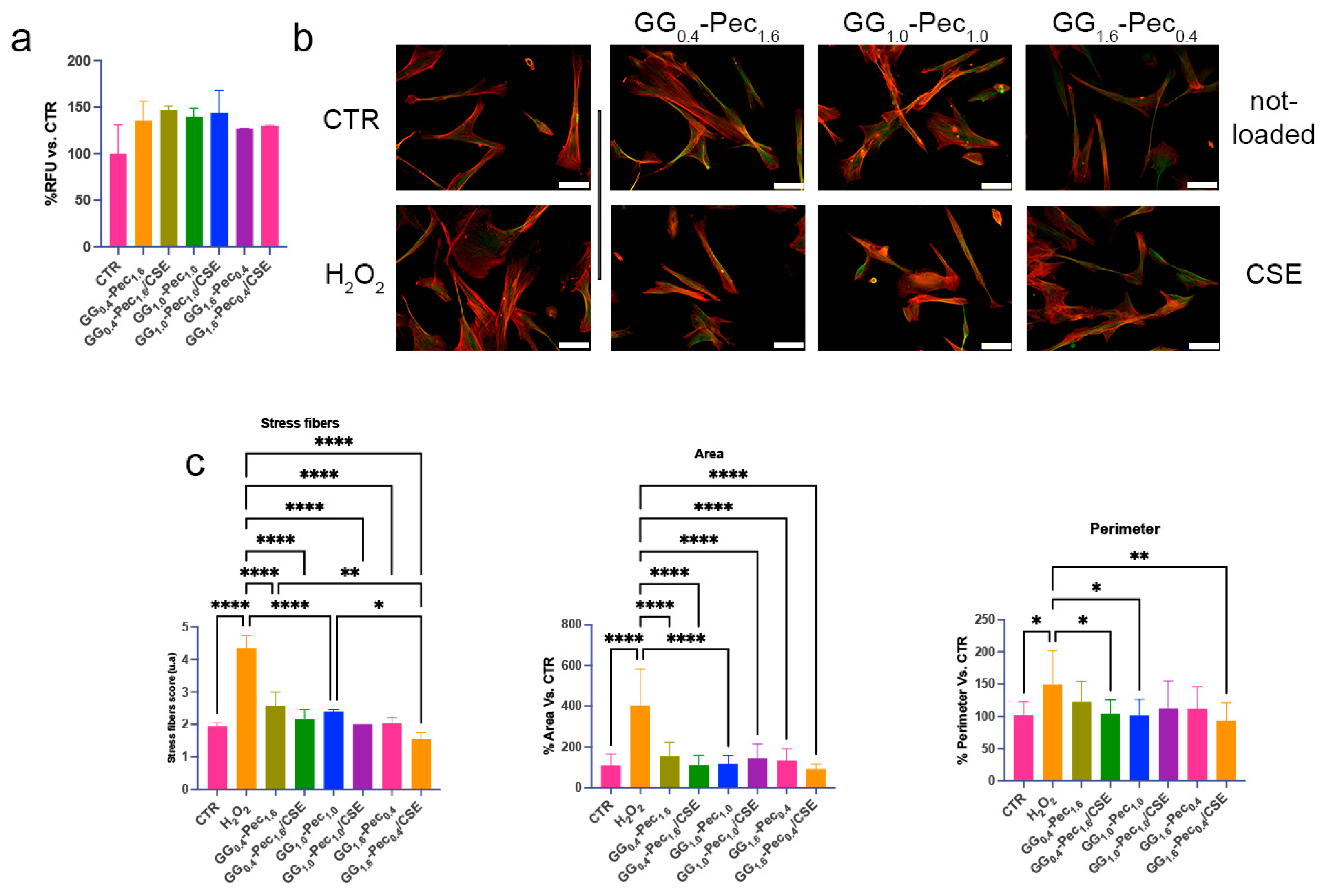 Polymers 17 00814 g010