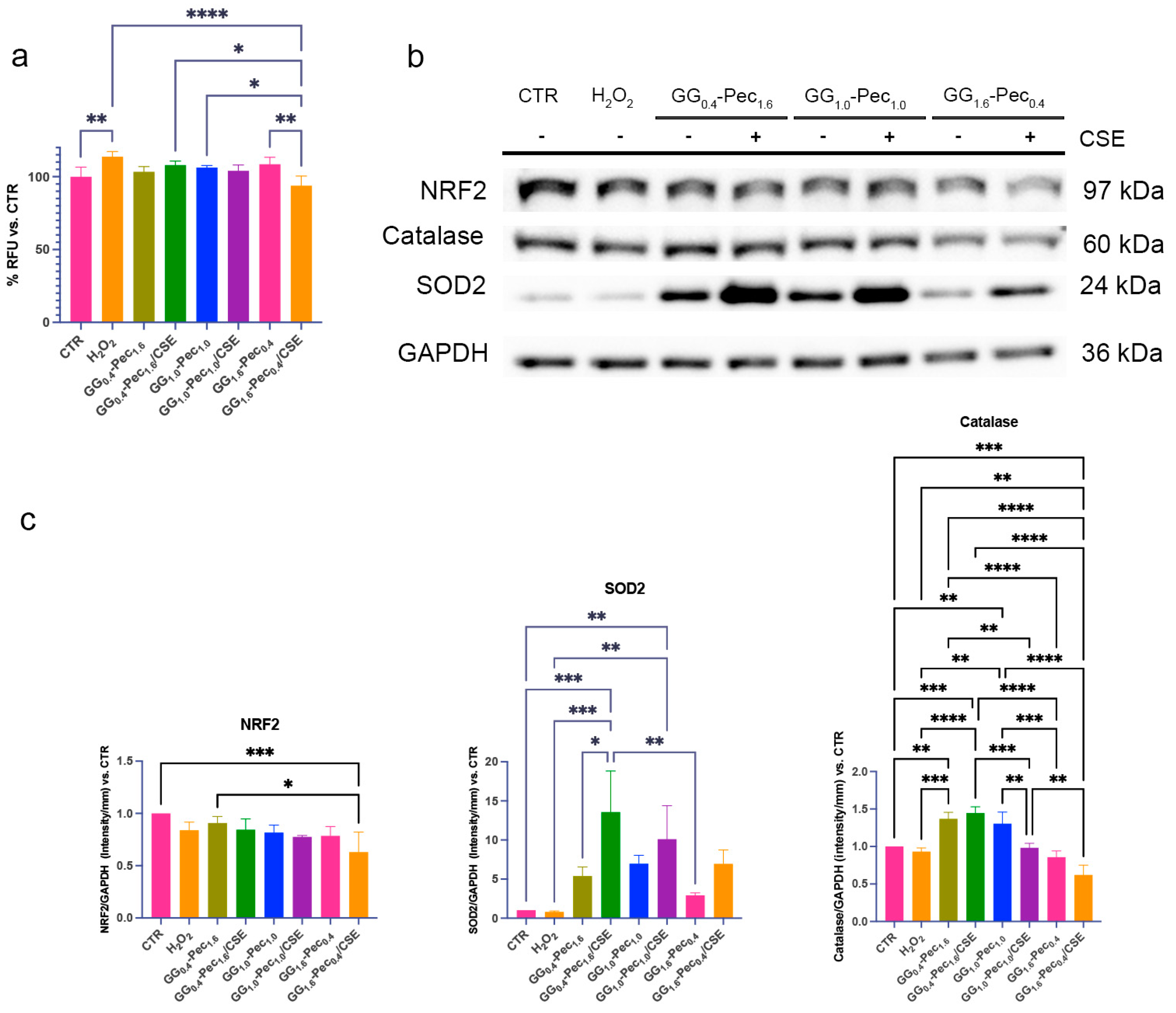 Polymers 17 00814 g011