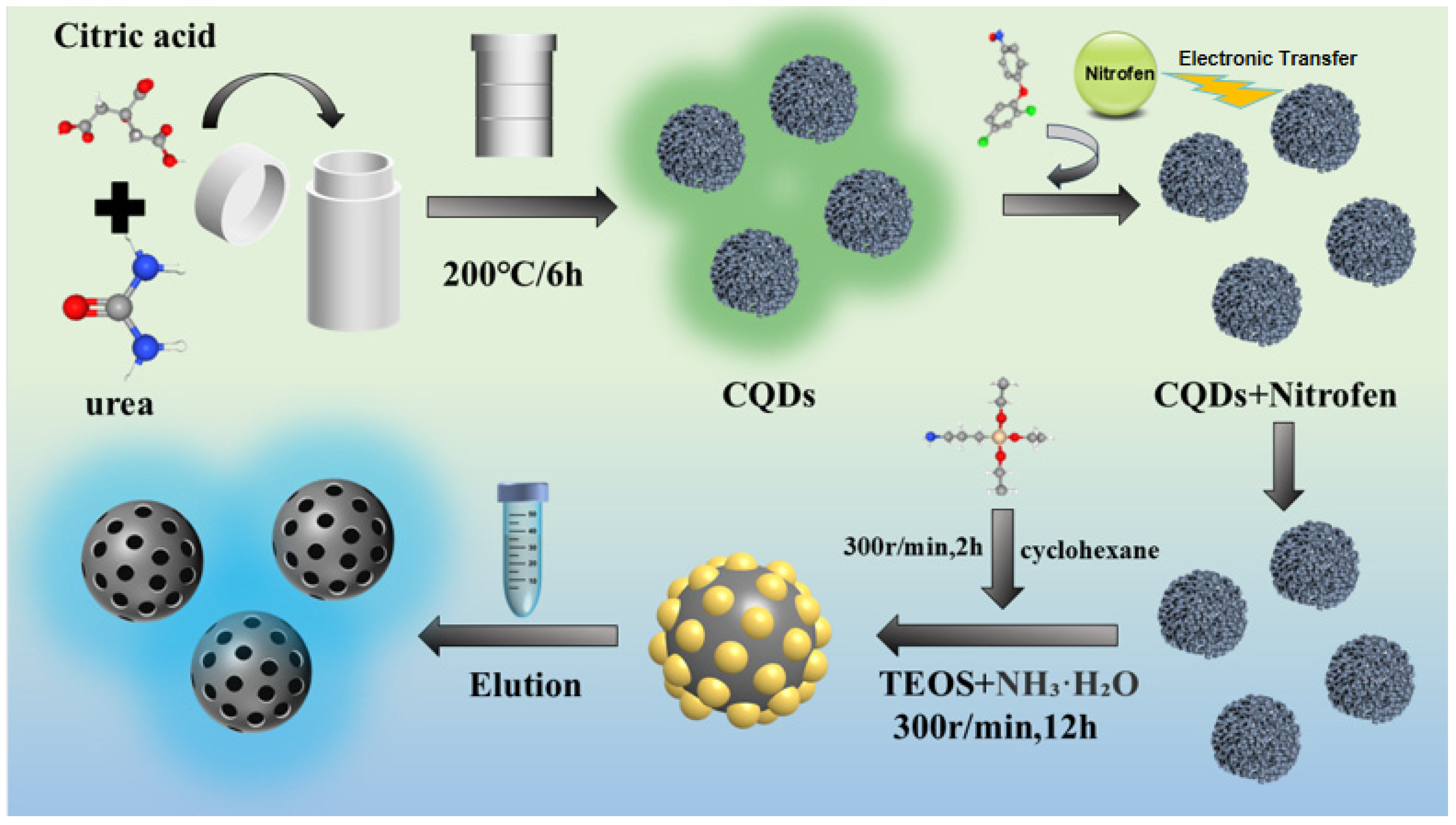 Polymers 17 00816 sch001