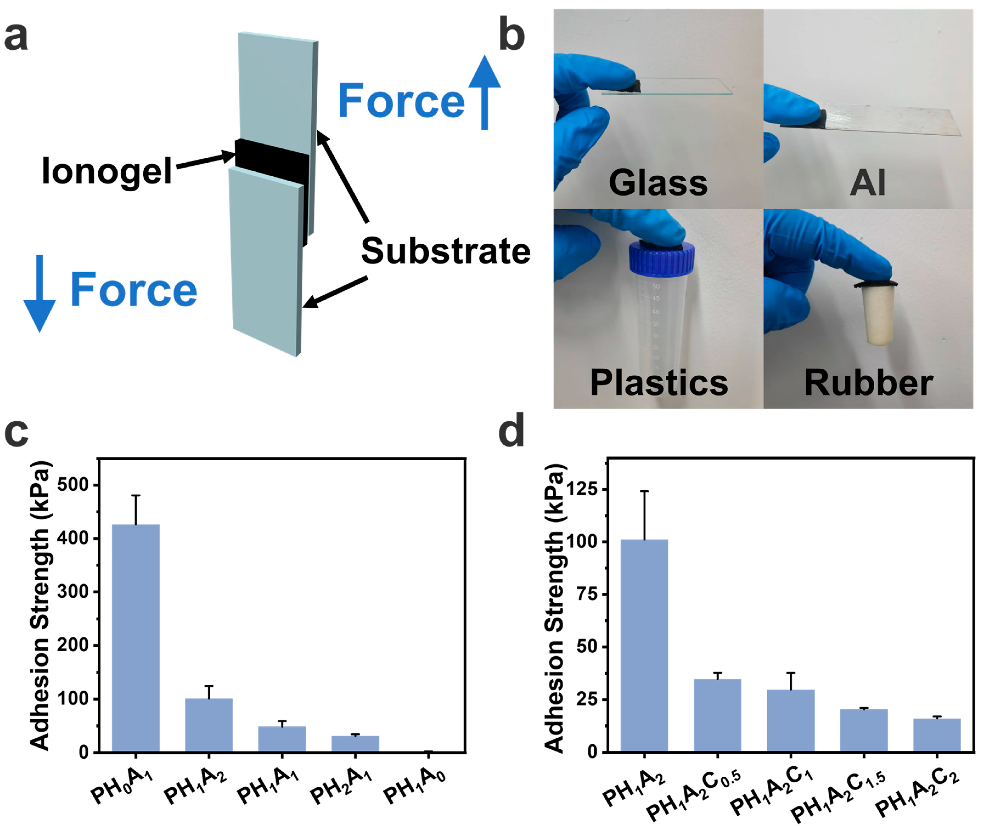 Polymers 17 00817 g005