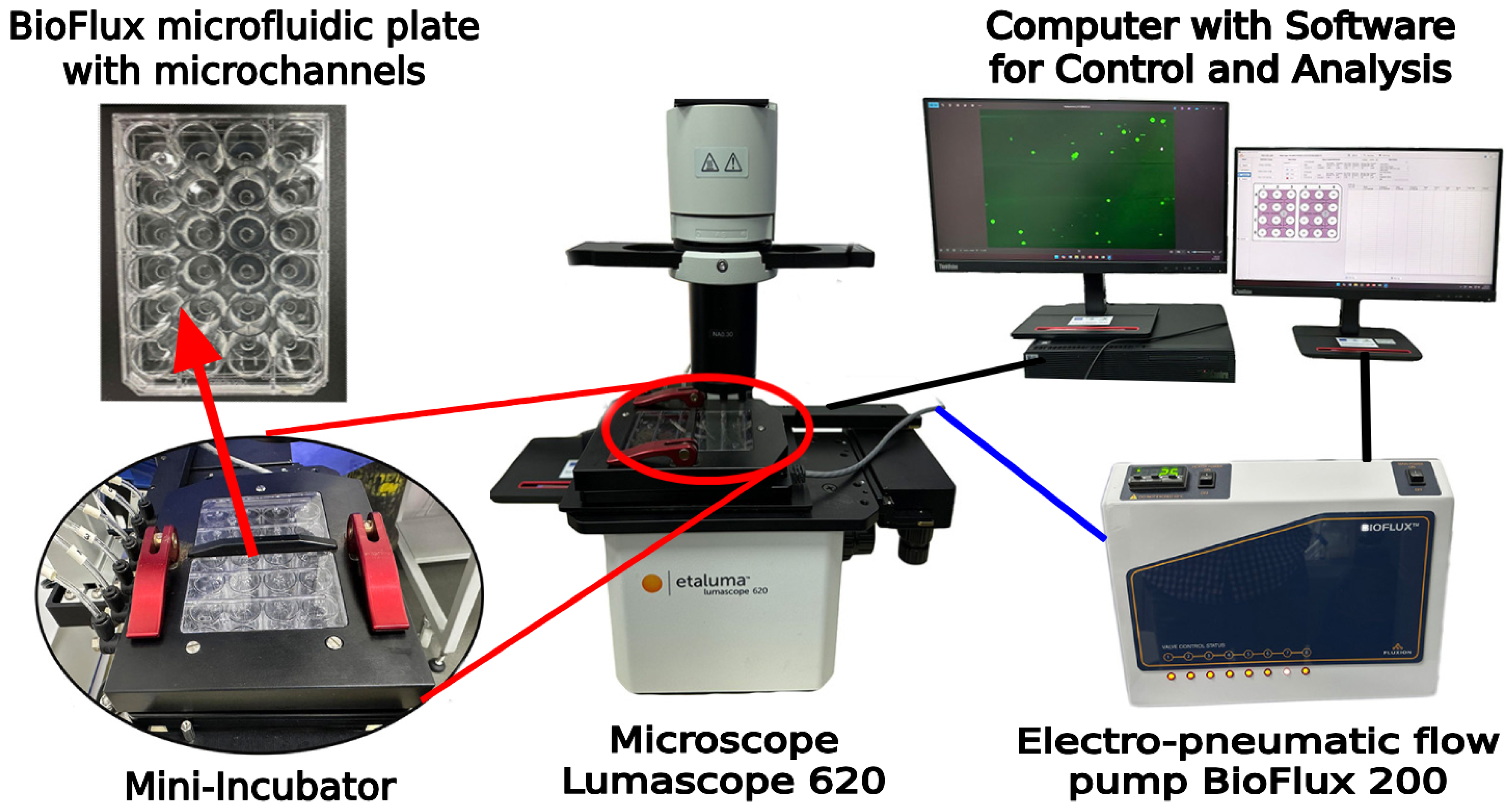 Polymers 17 00821 g002