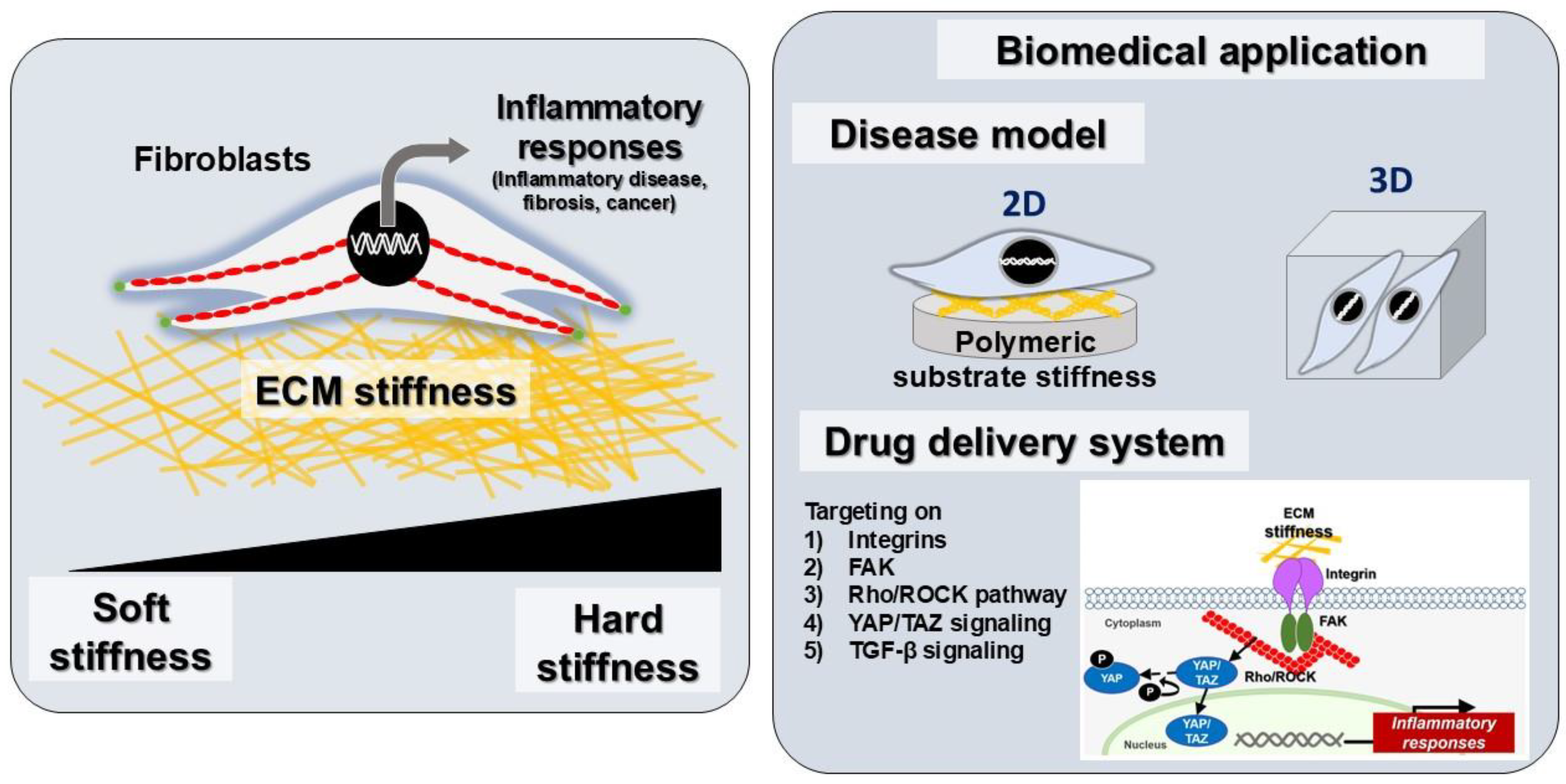 Polymers 17 00822 g005