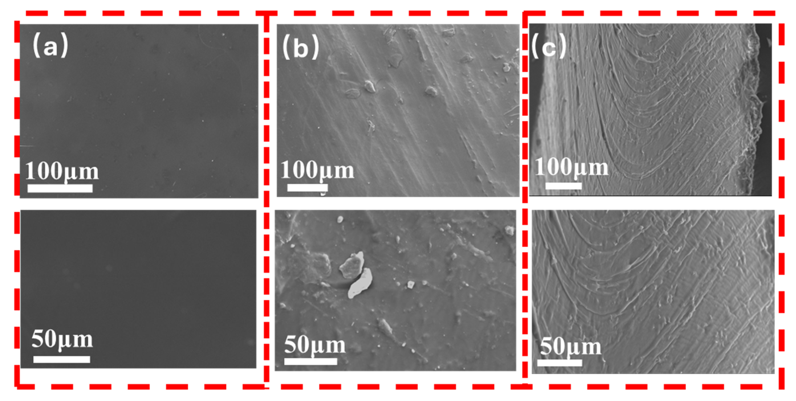 Polymers 17 00824 g008