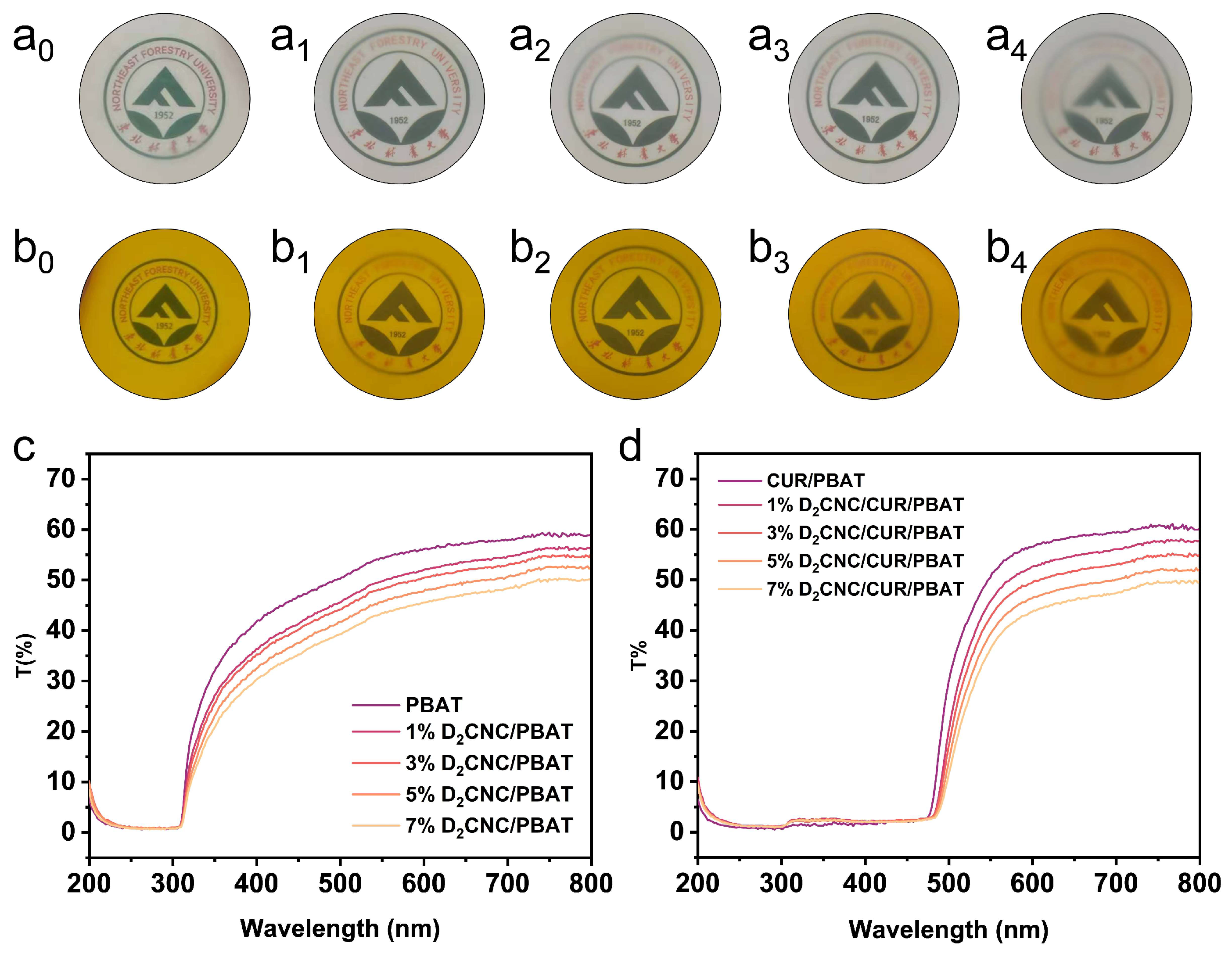 Polymers 17 00830 g002