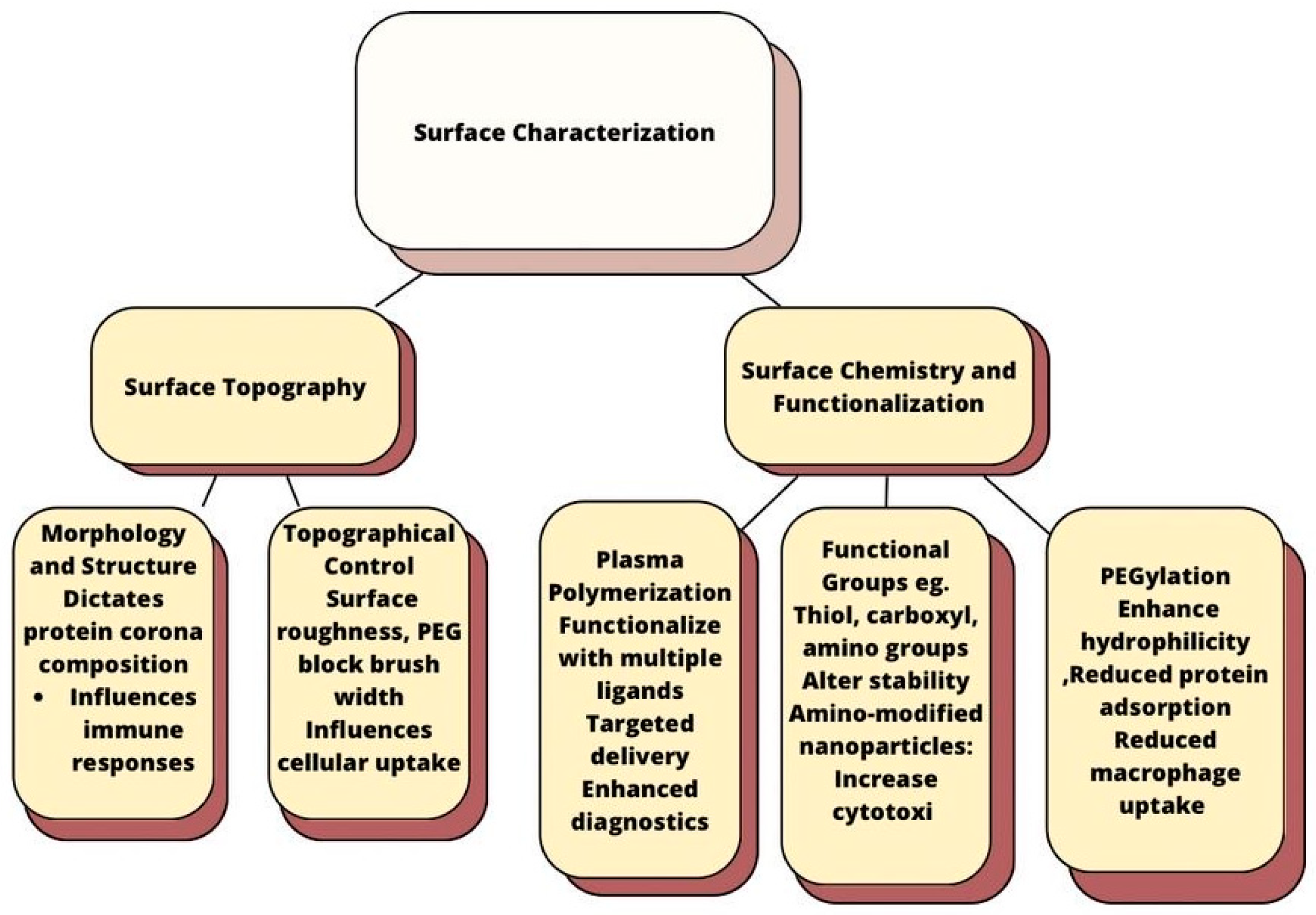 Polymers 17 00833 g001