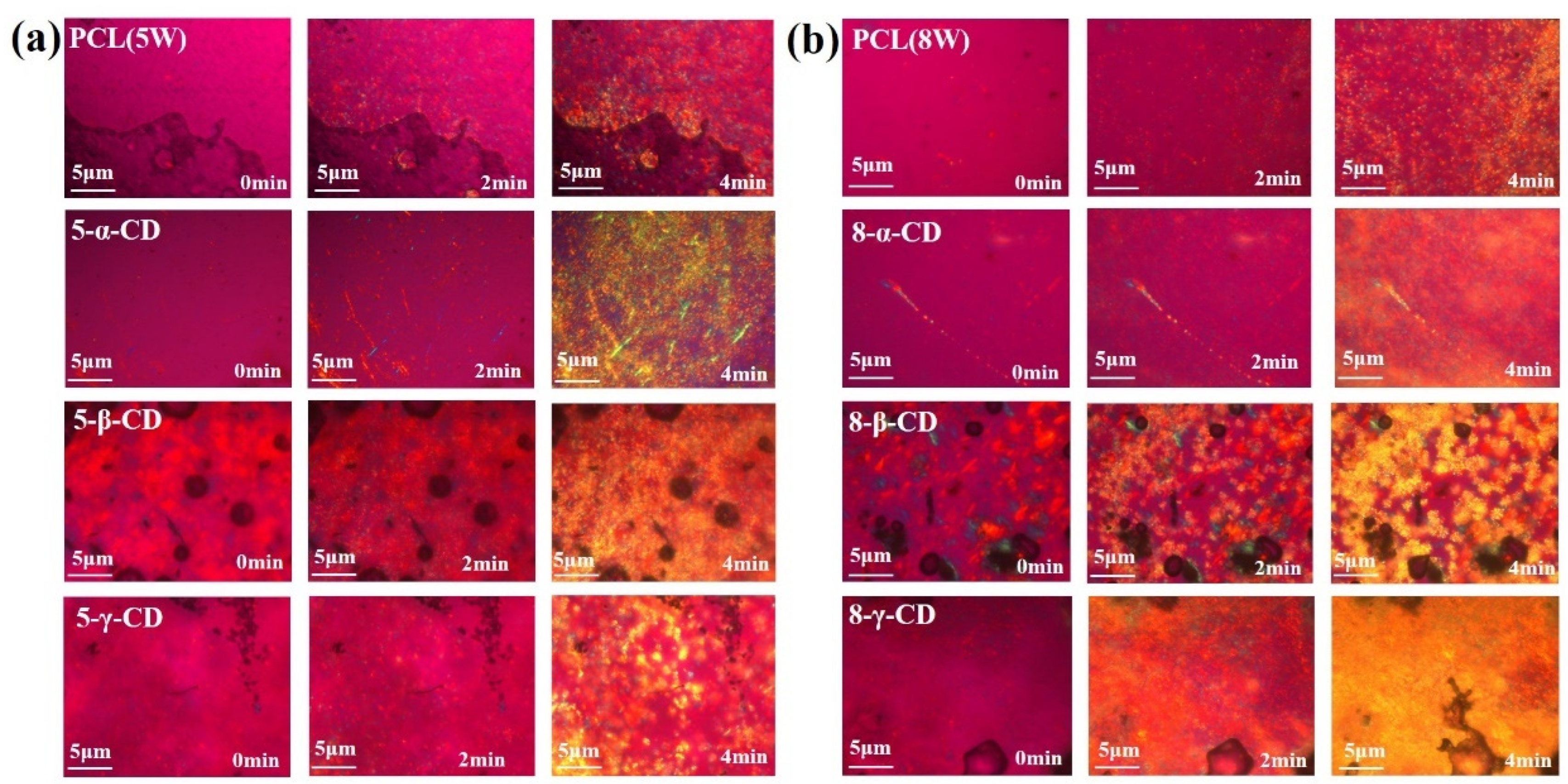 Polymers 17 00834 g004