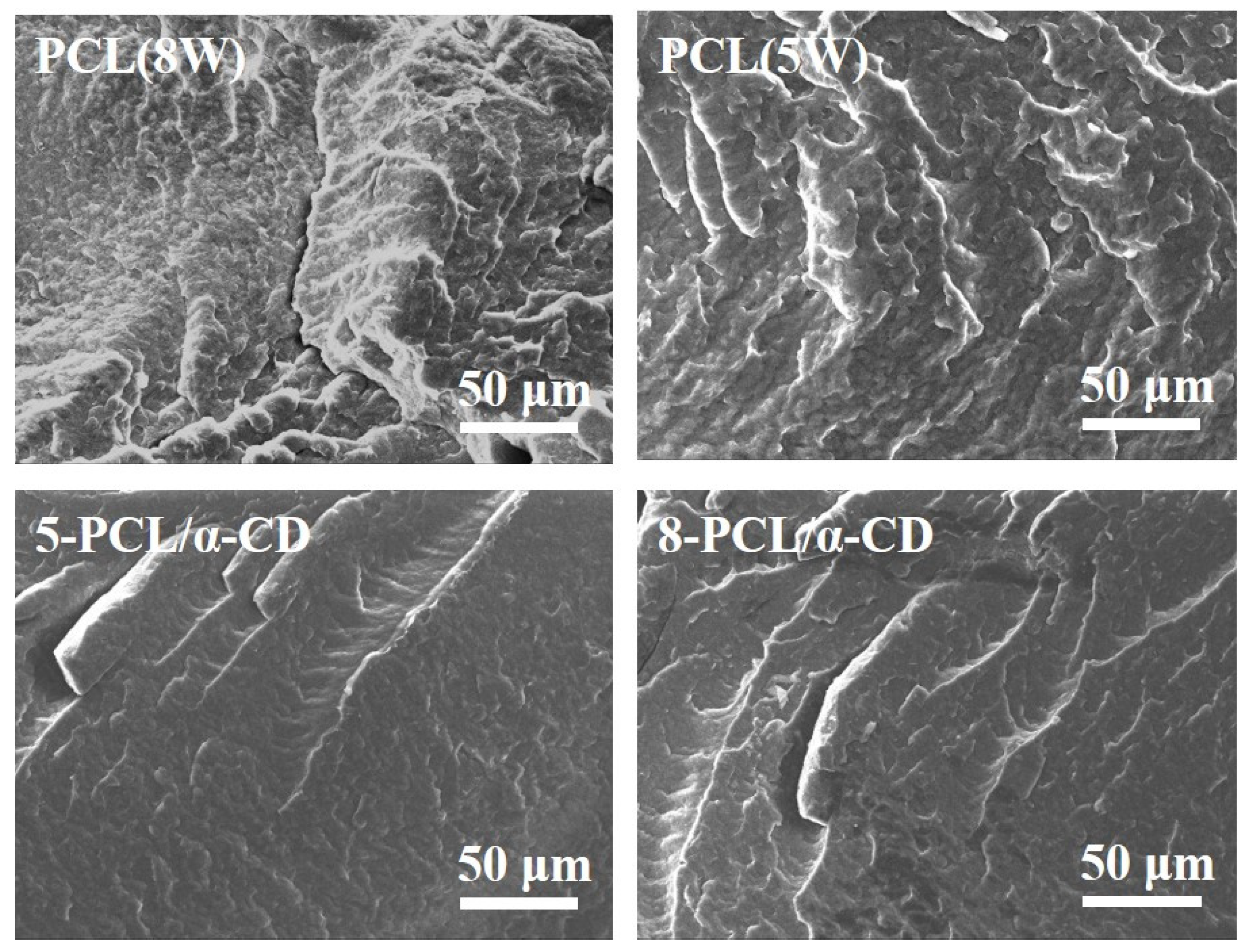 Polymers 17 00834 g005