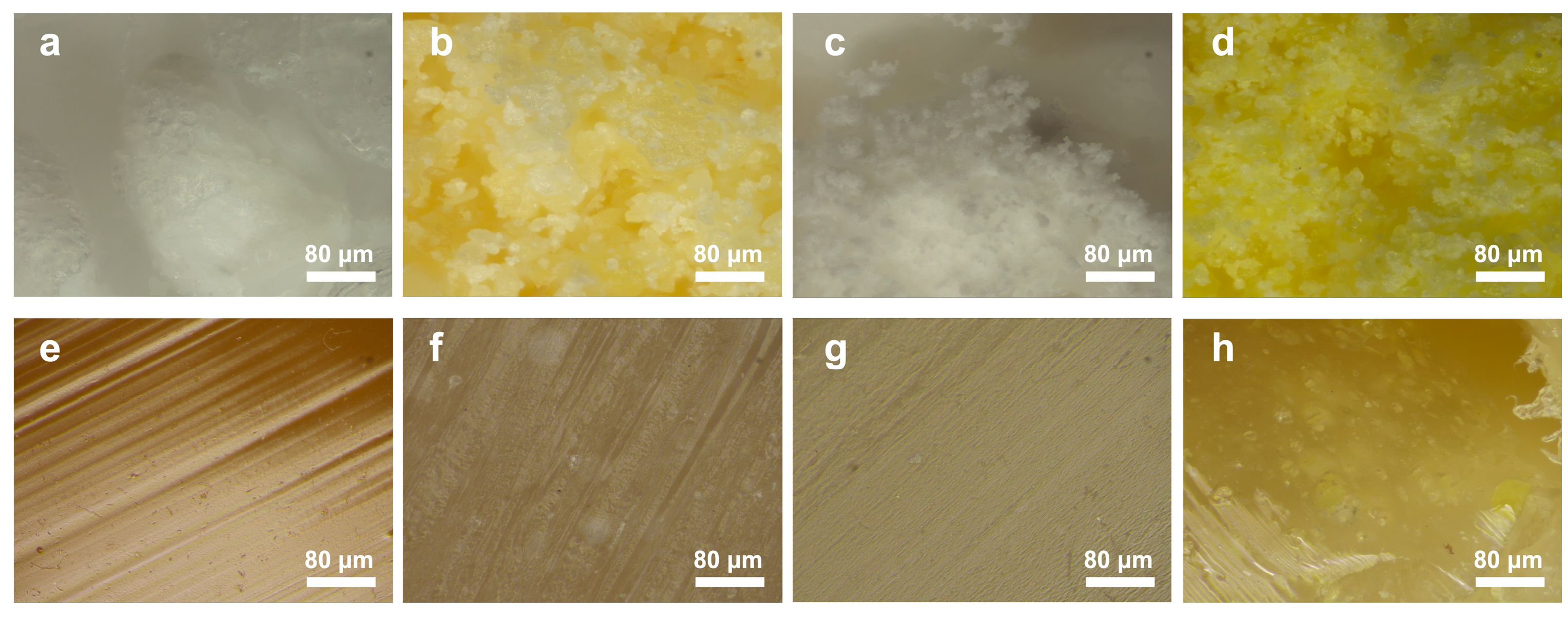 Polymers 17 00835 g009