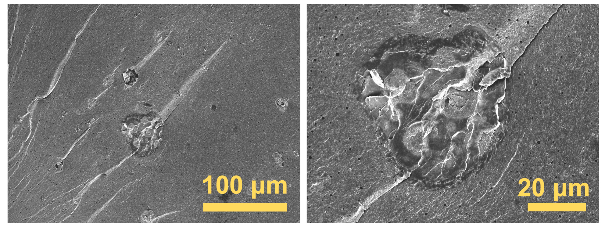 Polymers 17 00835 g011