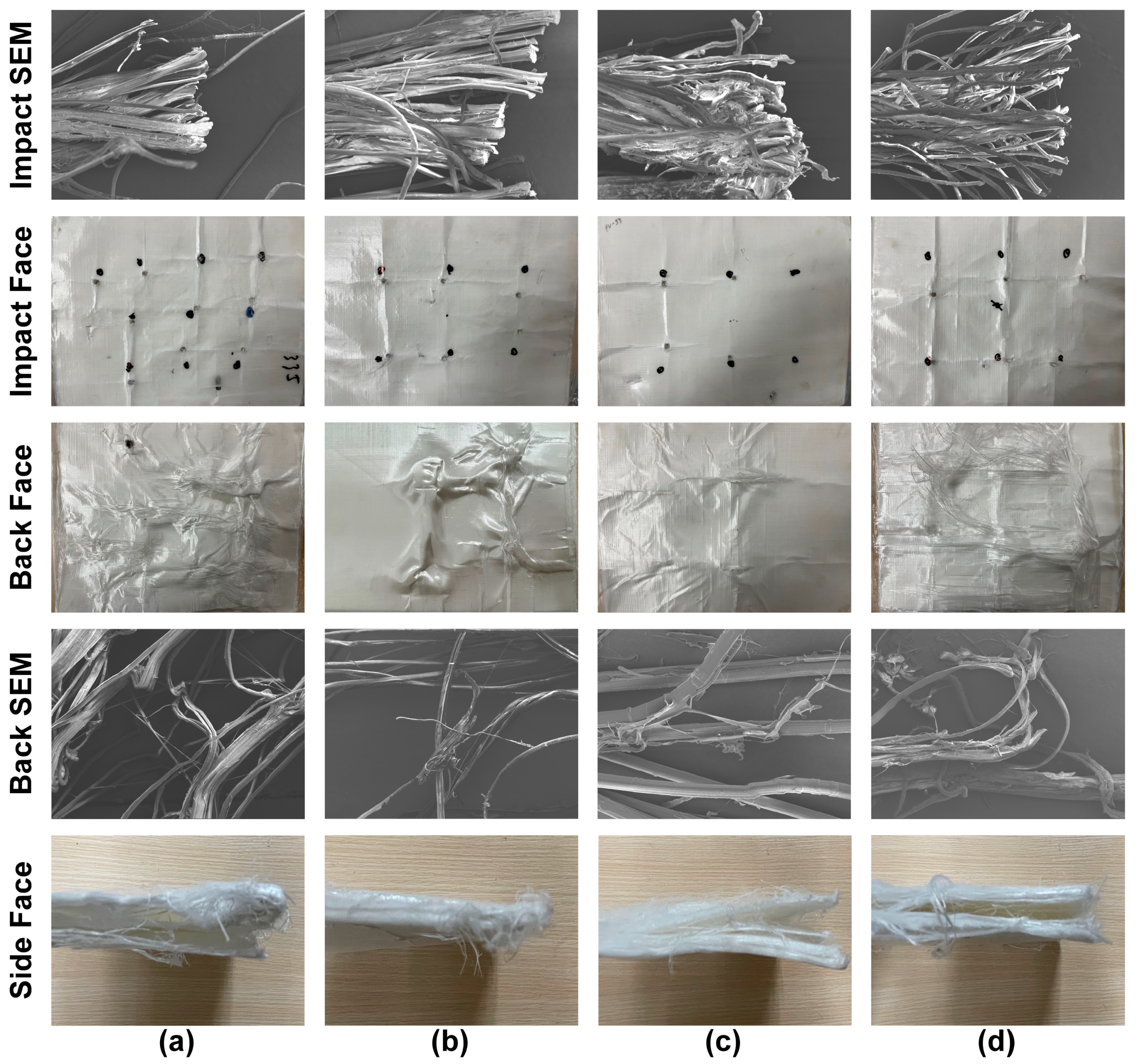 Polymers 17 00837 g010