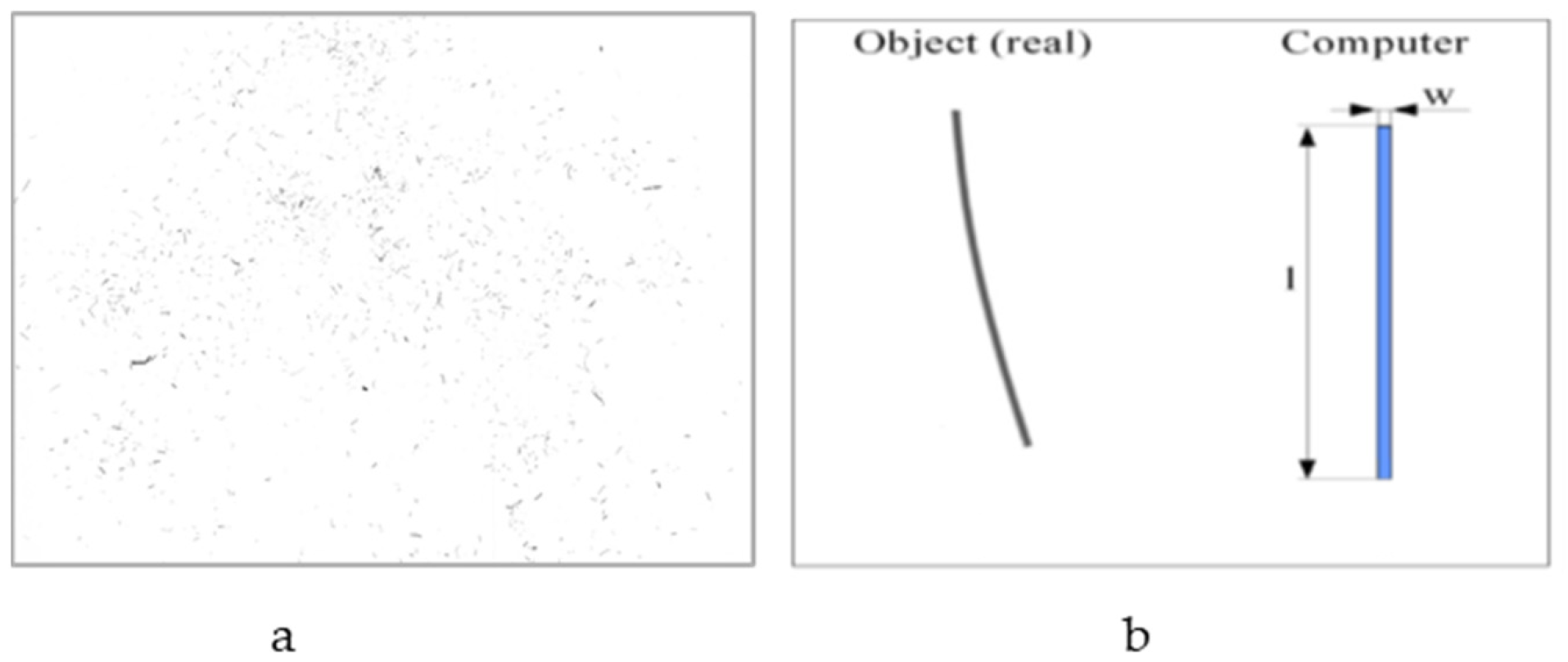 Polymers 17 00844 g001