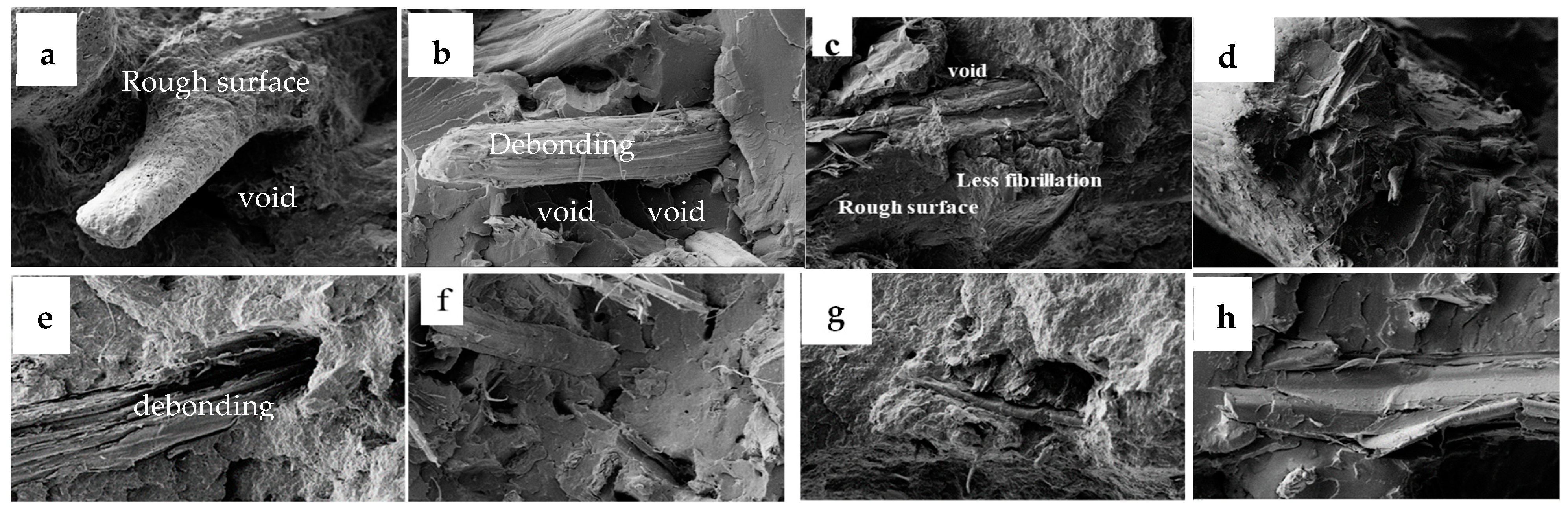 Polymers 17 00844 g020