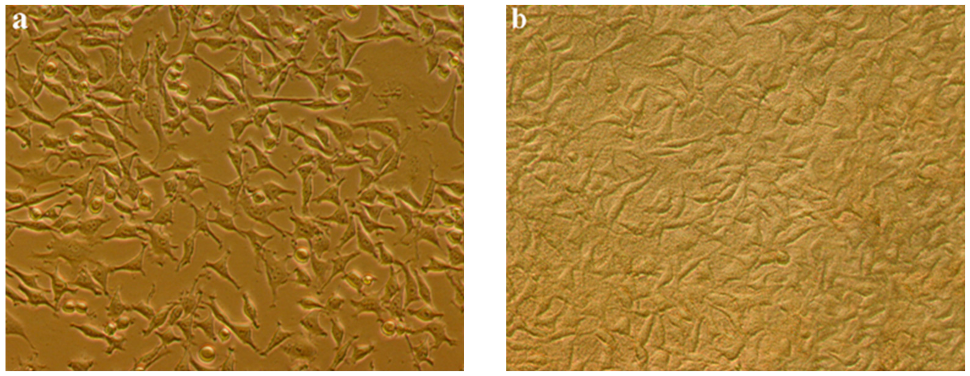 Polymers 17 00845 g008