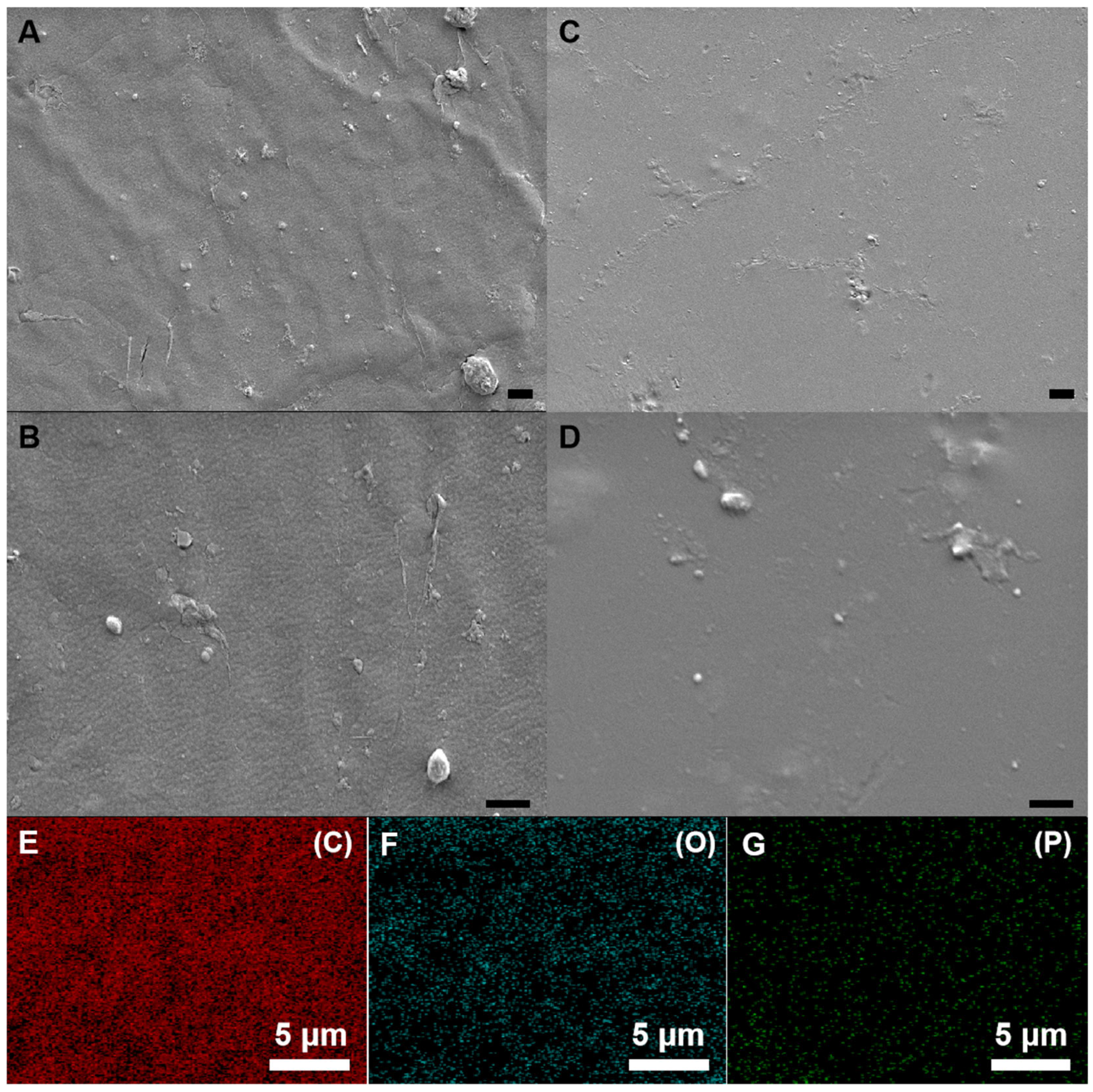 Polymers 17 00847 g003