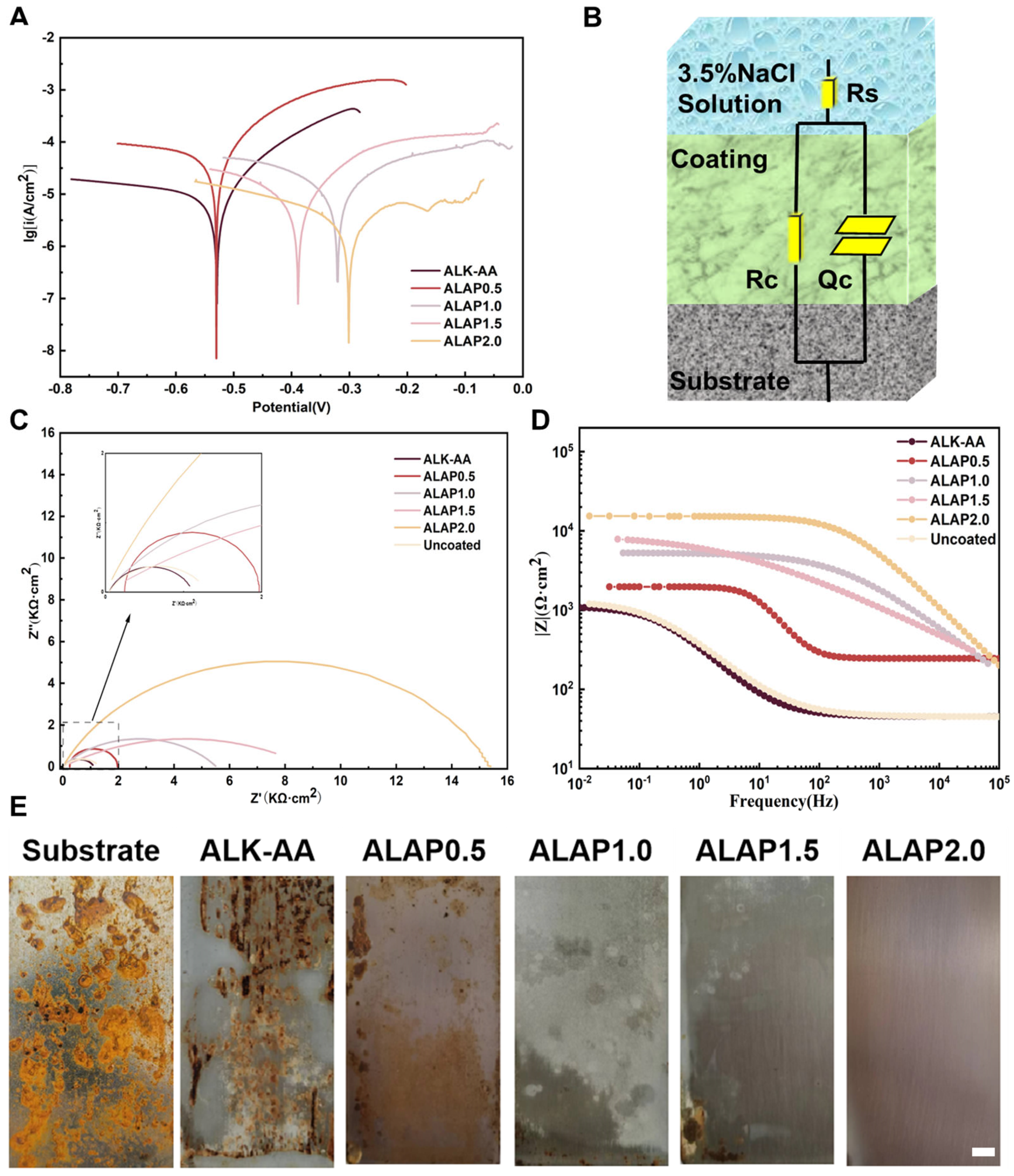Polymers 17 00847 g006
