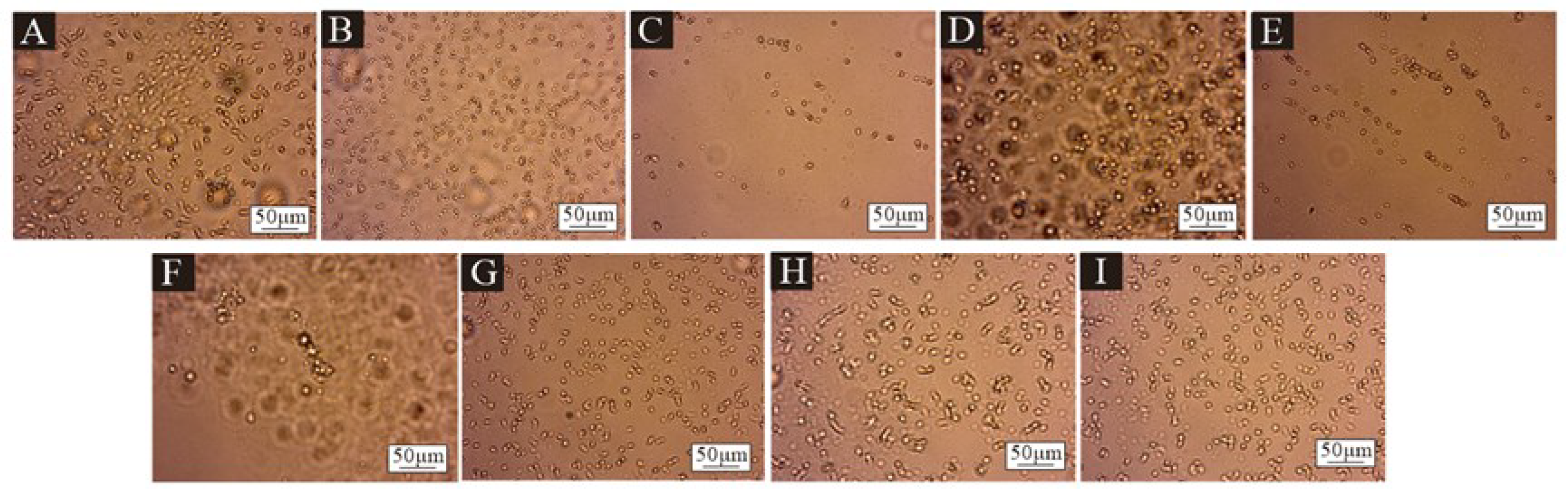 Polymers 17 00849 g001