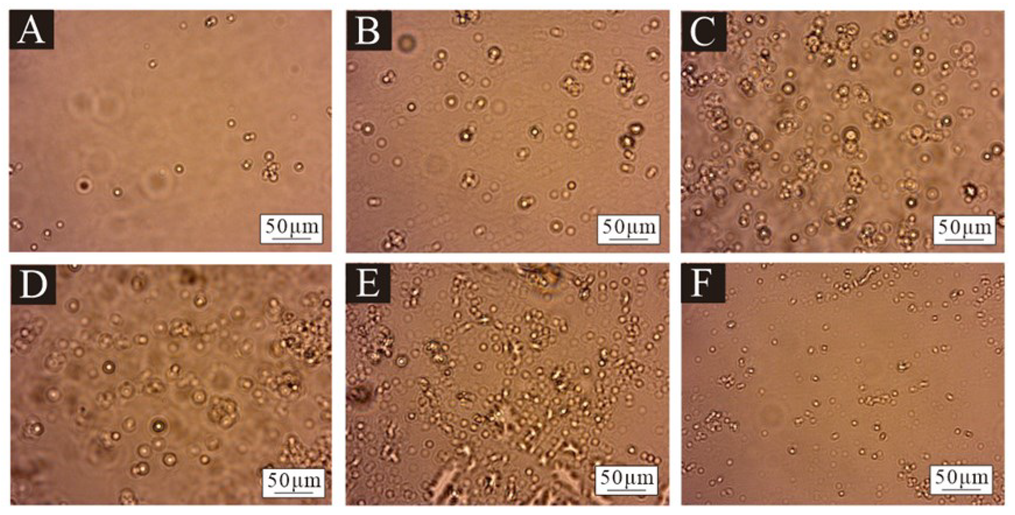 Polymers 17 00849 g002