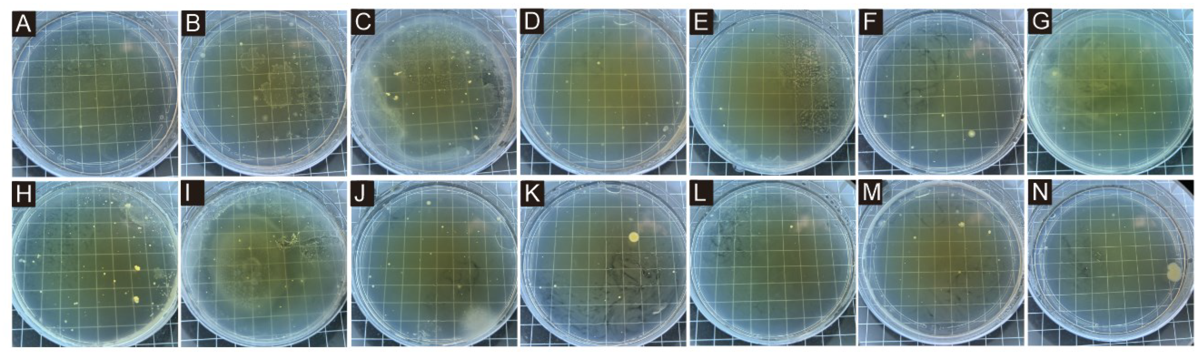 Polymers 17 00849 g009