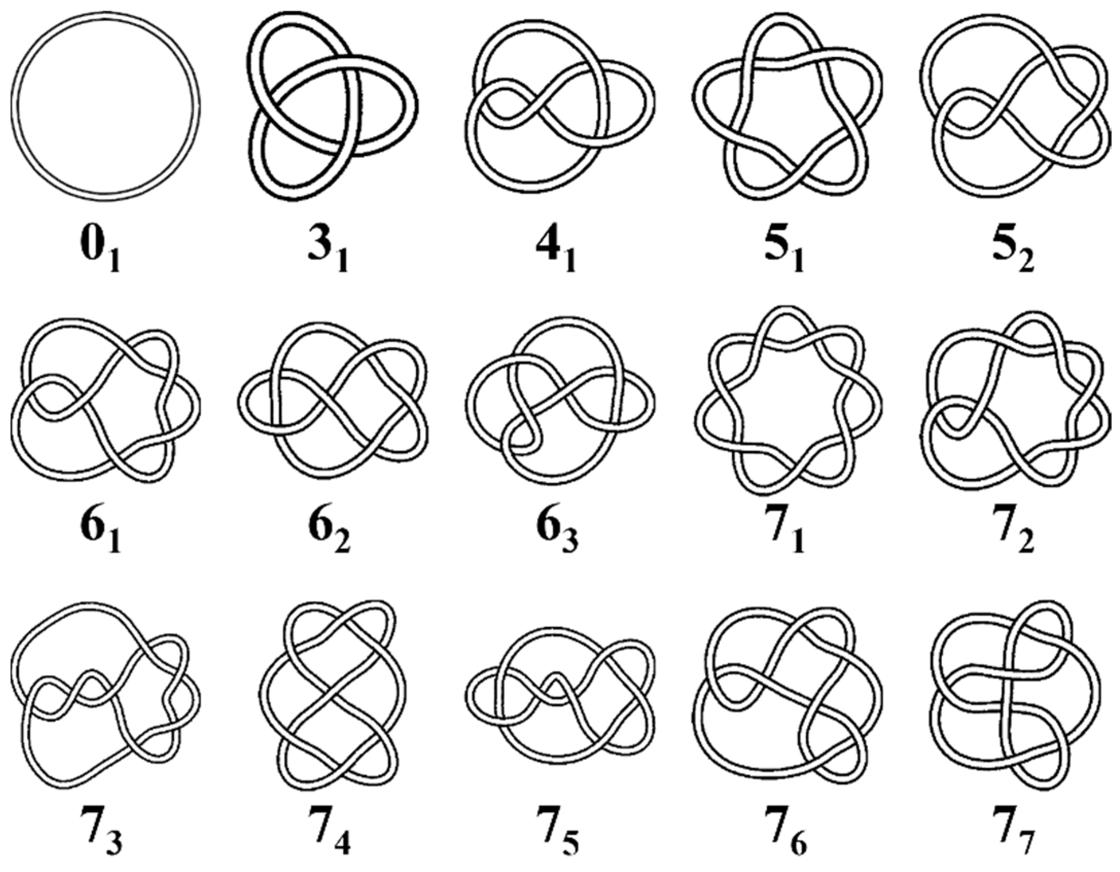 Polymers 17 00854 g001