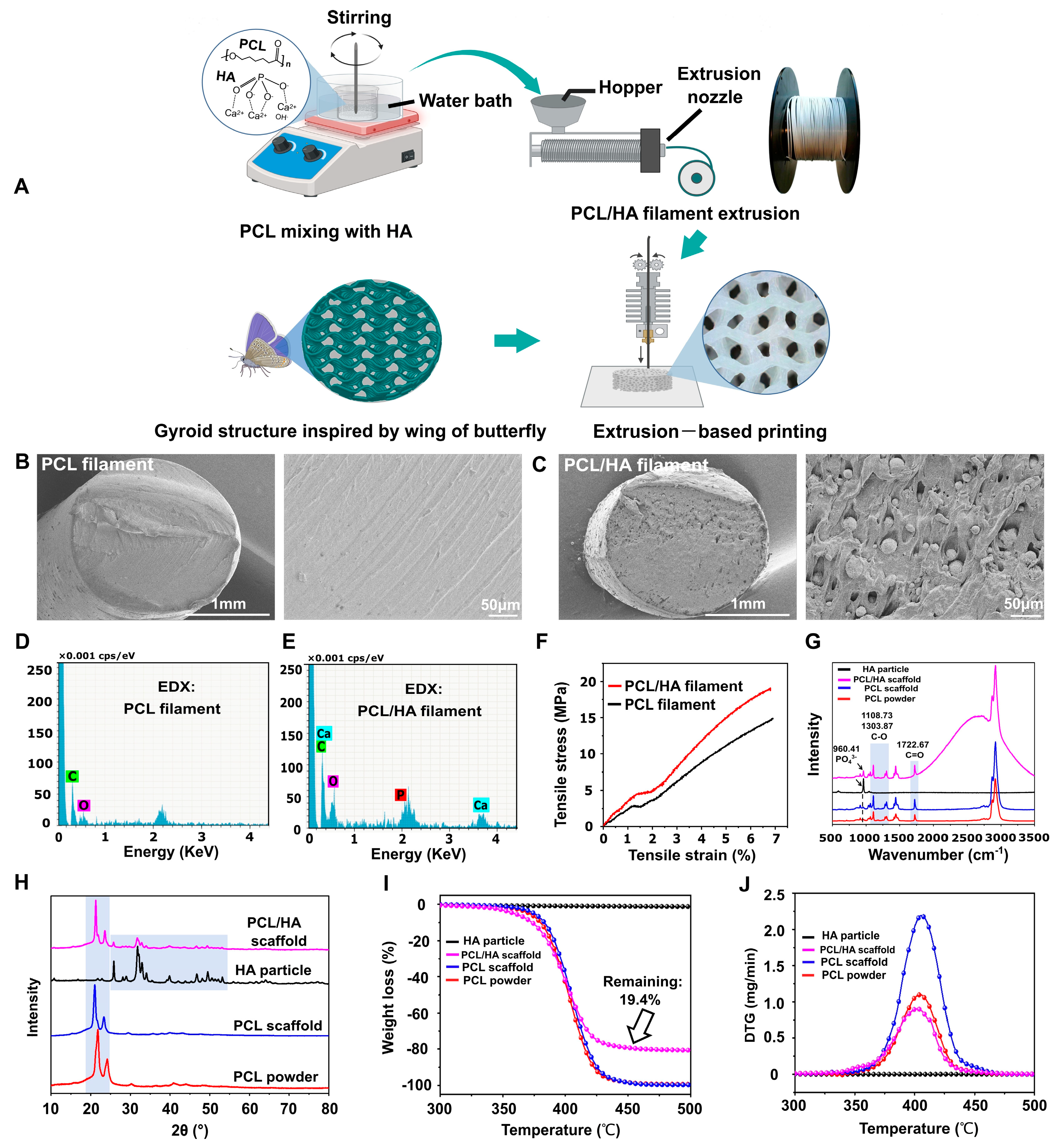 Polymers 17 00858 g001