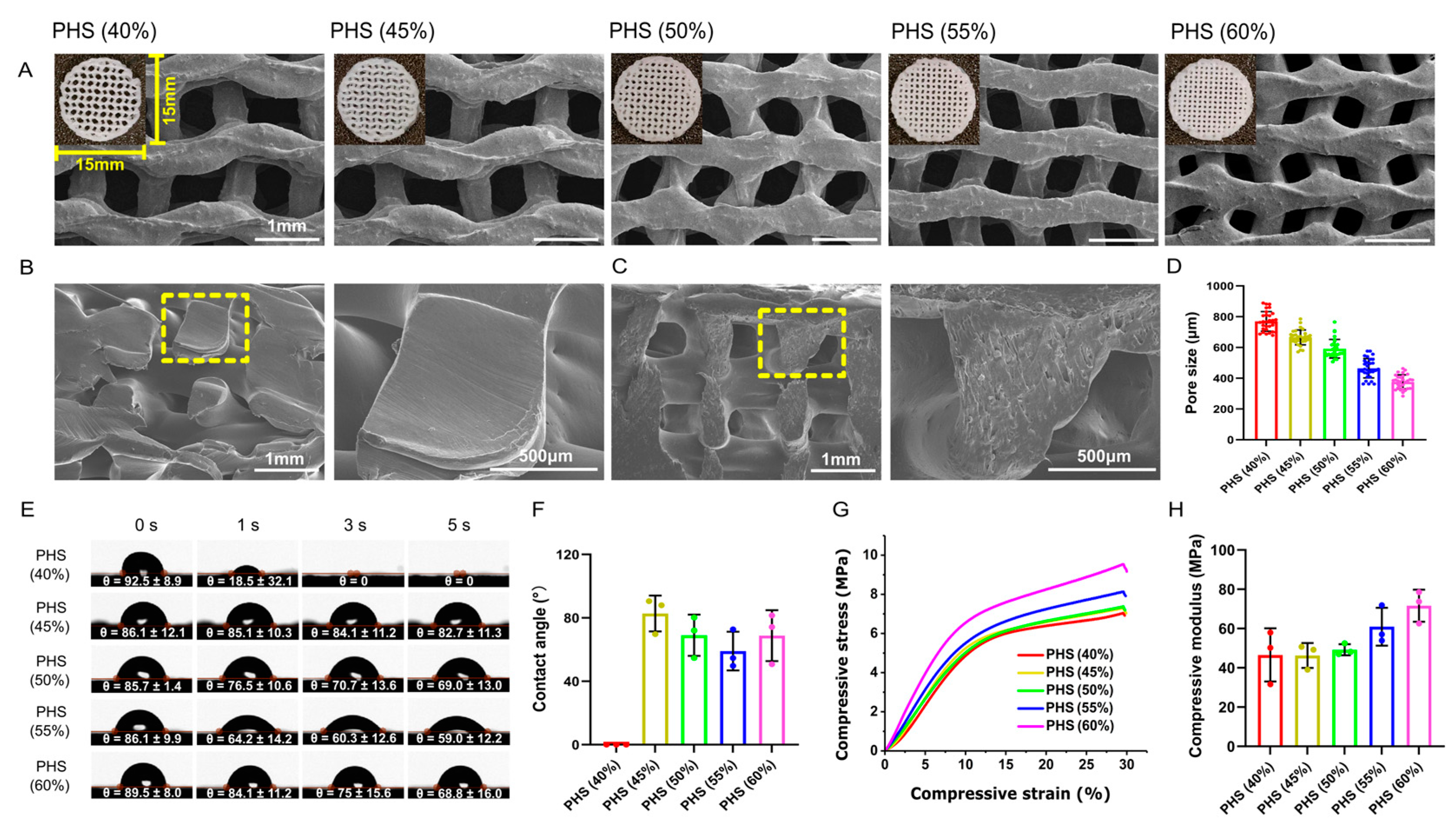 Polymers 17 00858 g002