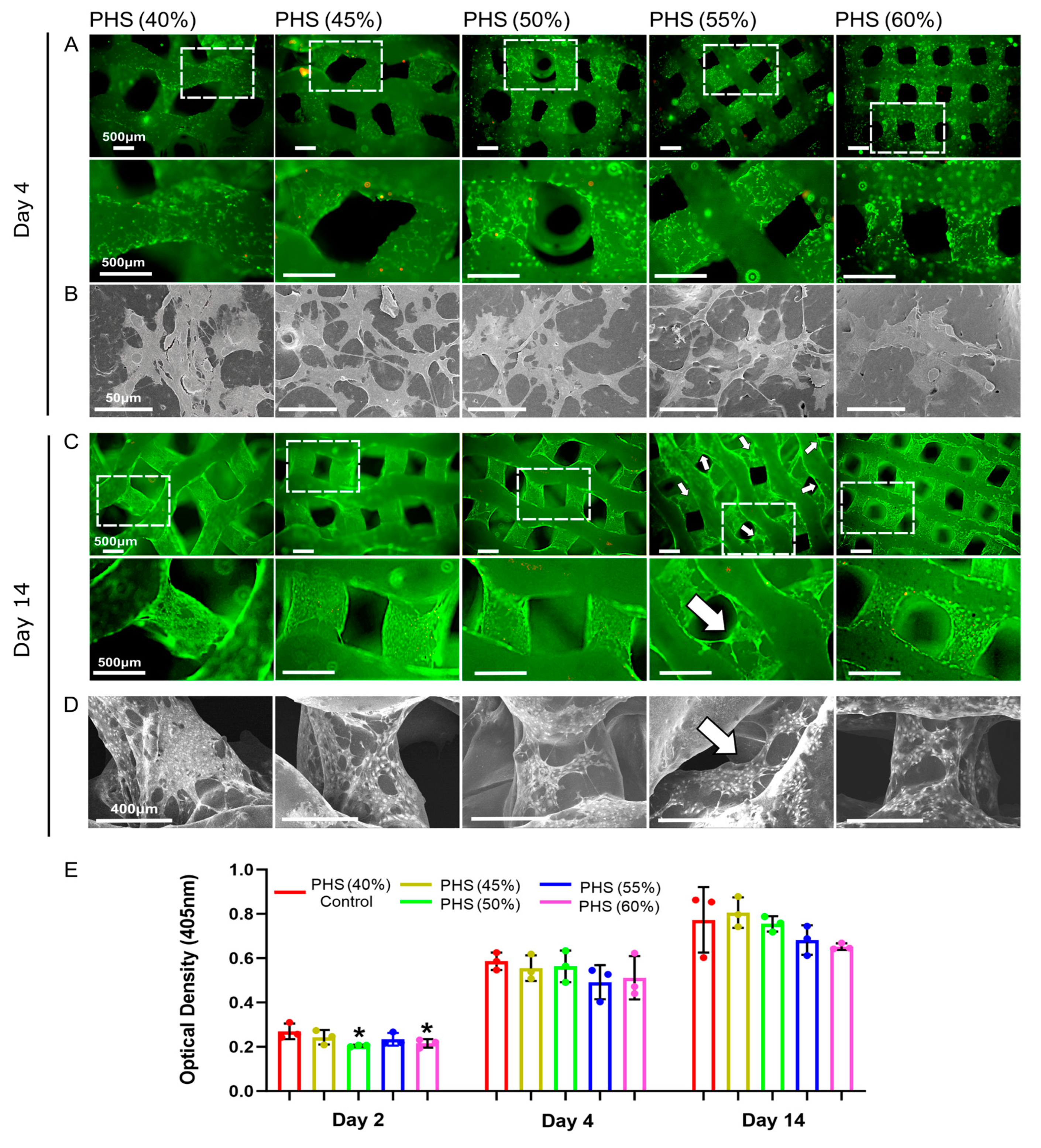 Polymers 17 00858 g003