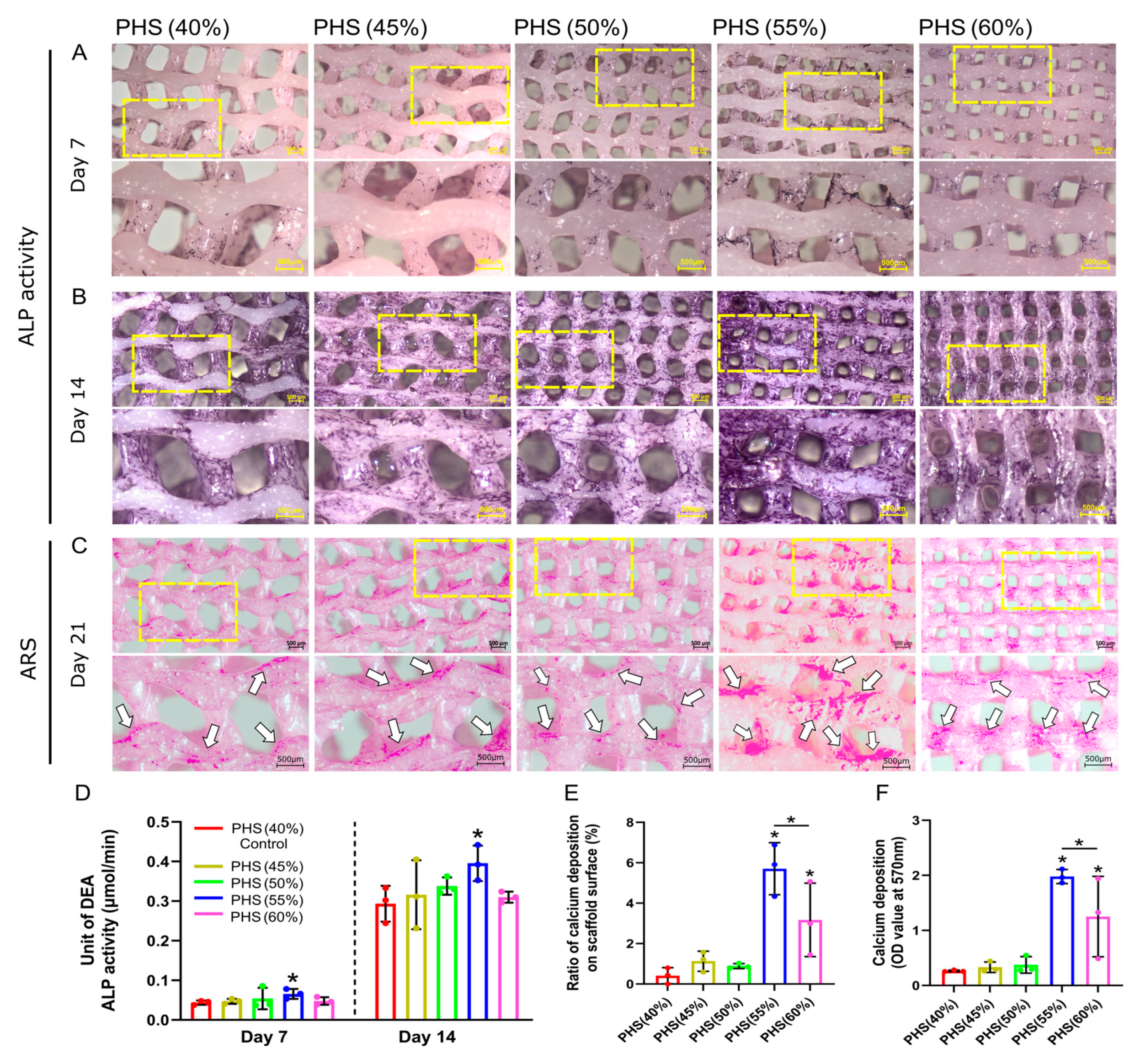 Polymers 17 00858 g004