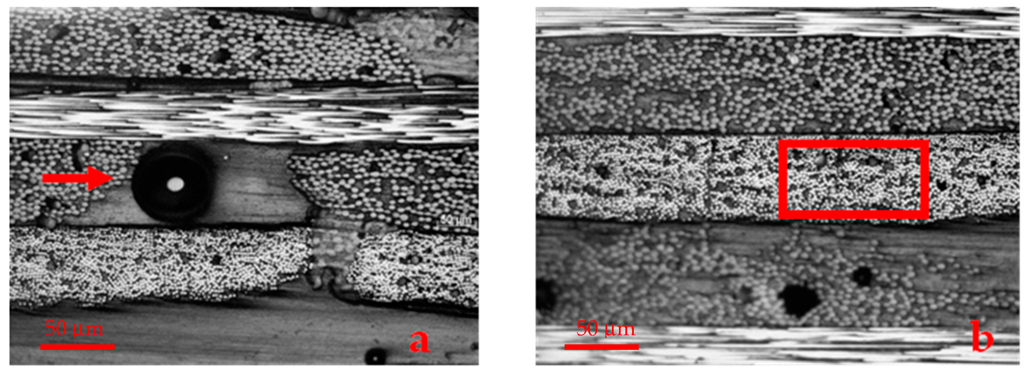 Polymers 17 00861 g002