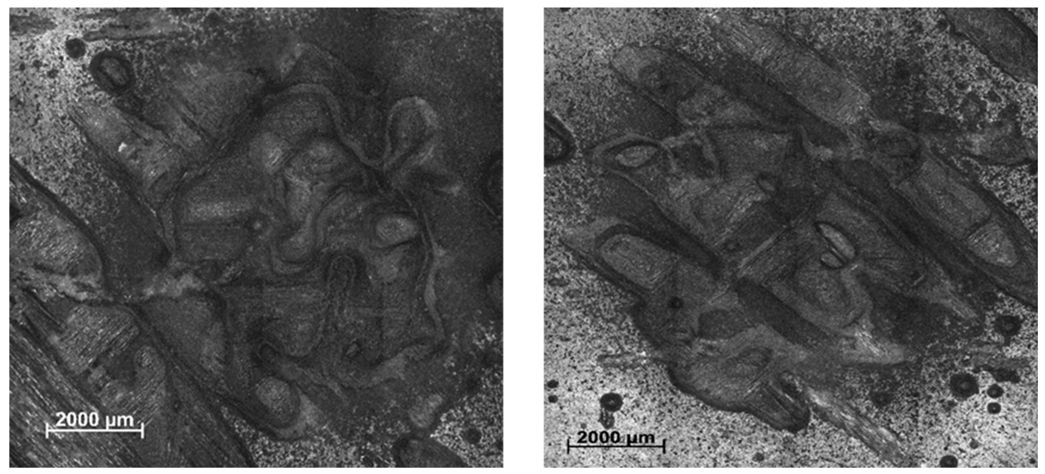 Polymers 17 00861 g003