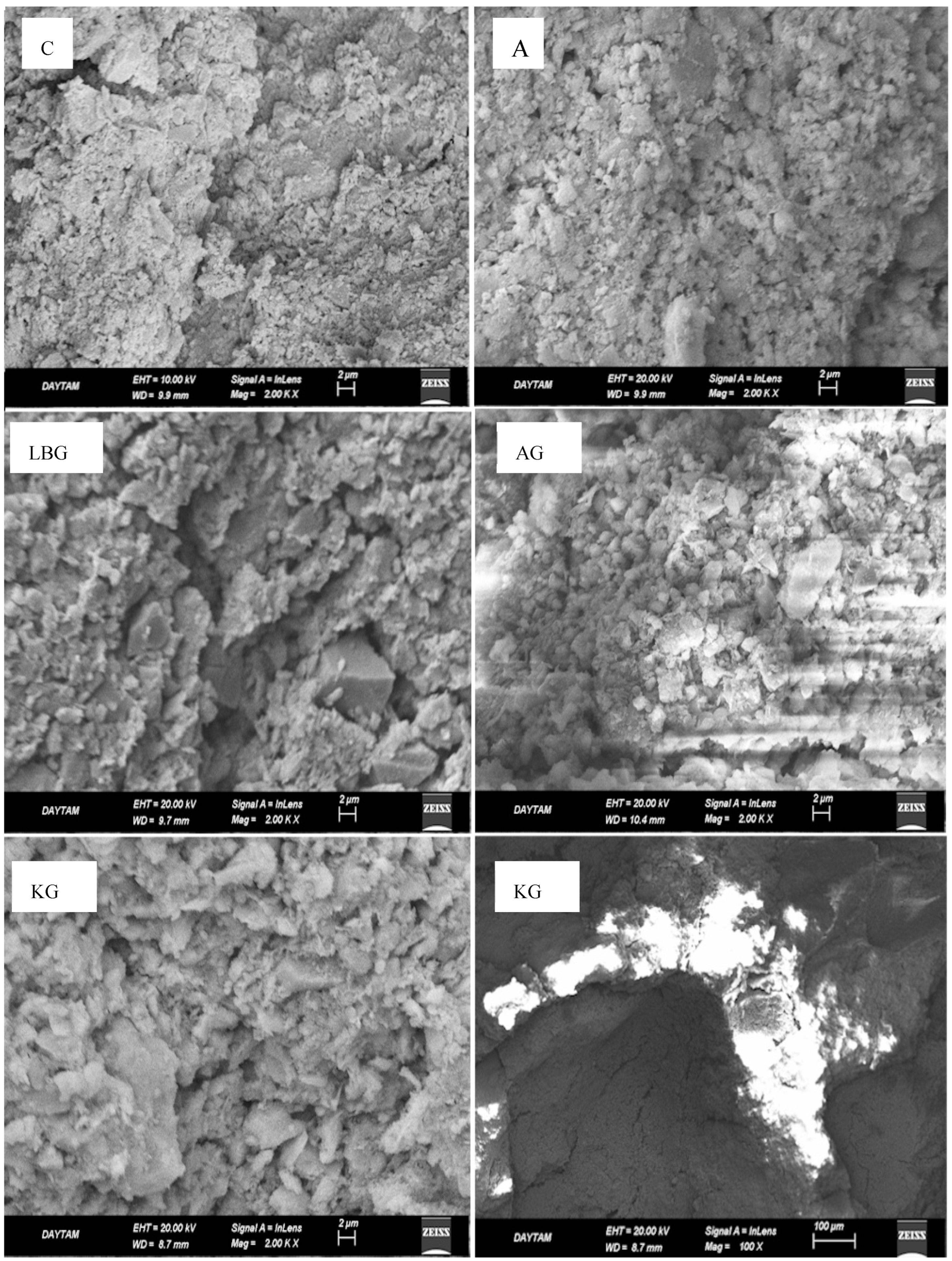 Polymers 17 00864 g007