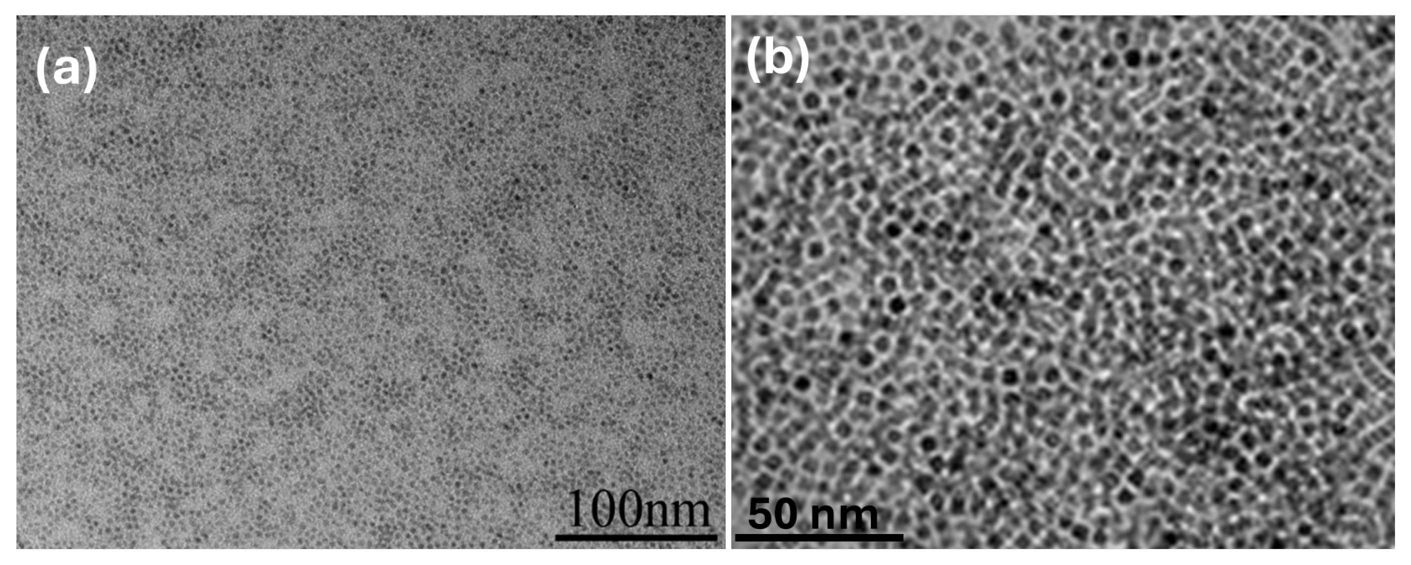 Polymers 17 00865 g004