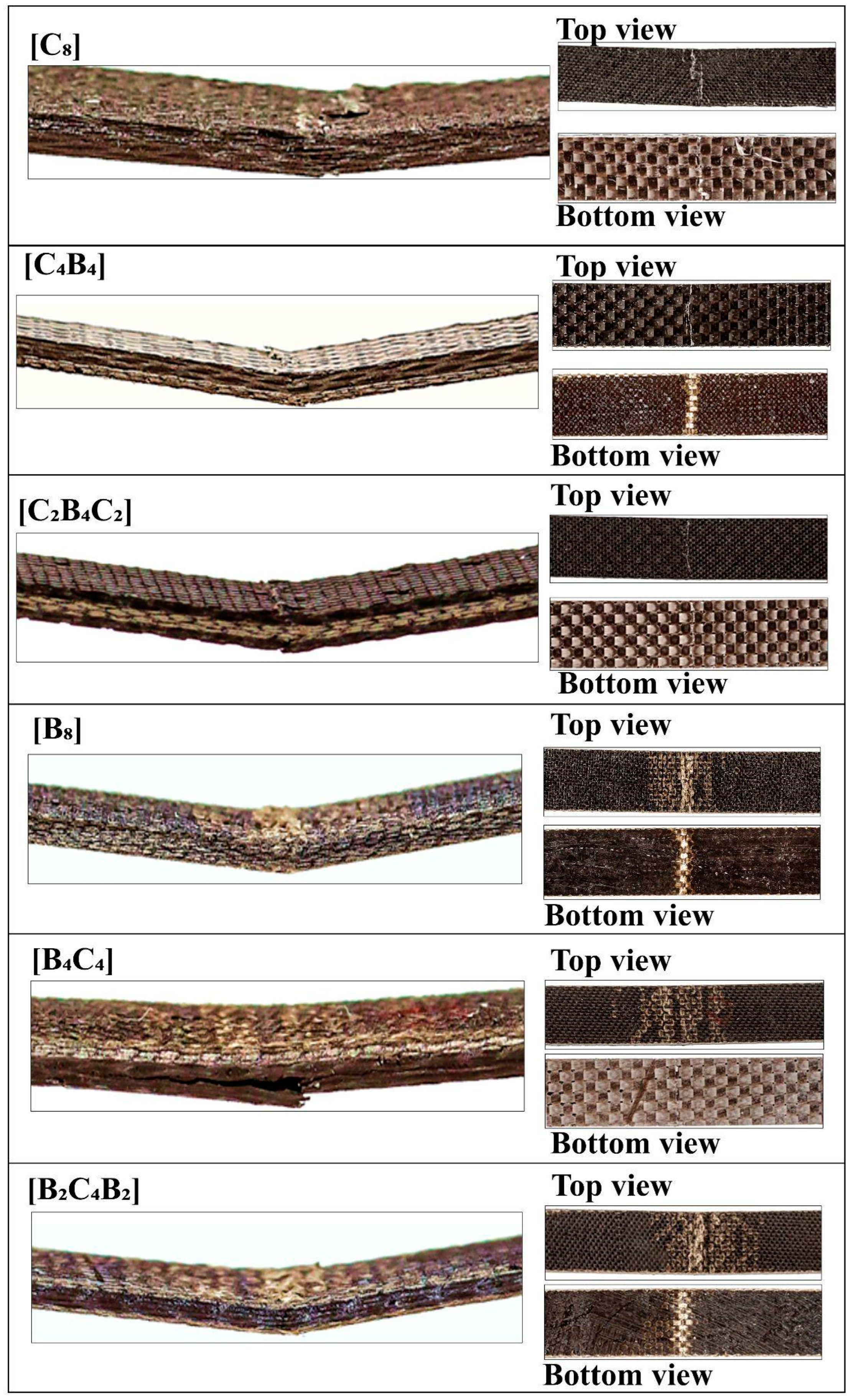 Polymers 17 00866 g005