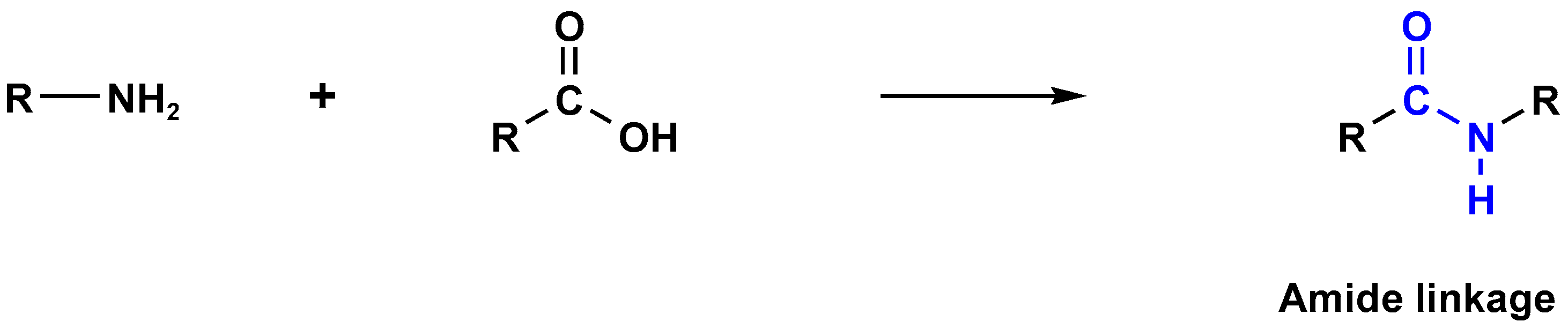 Polymers 17 00868 g012