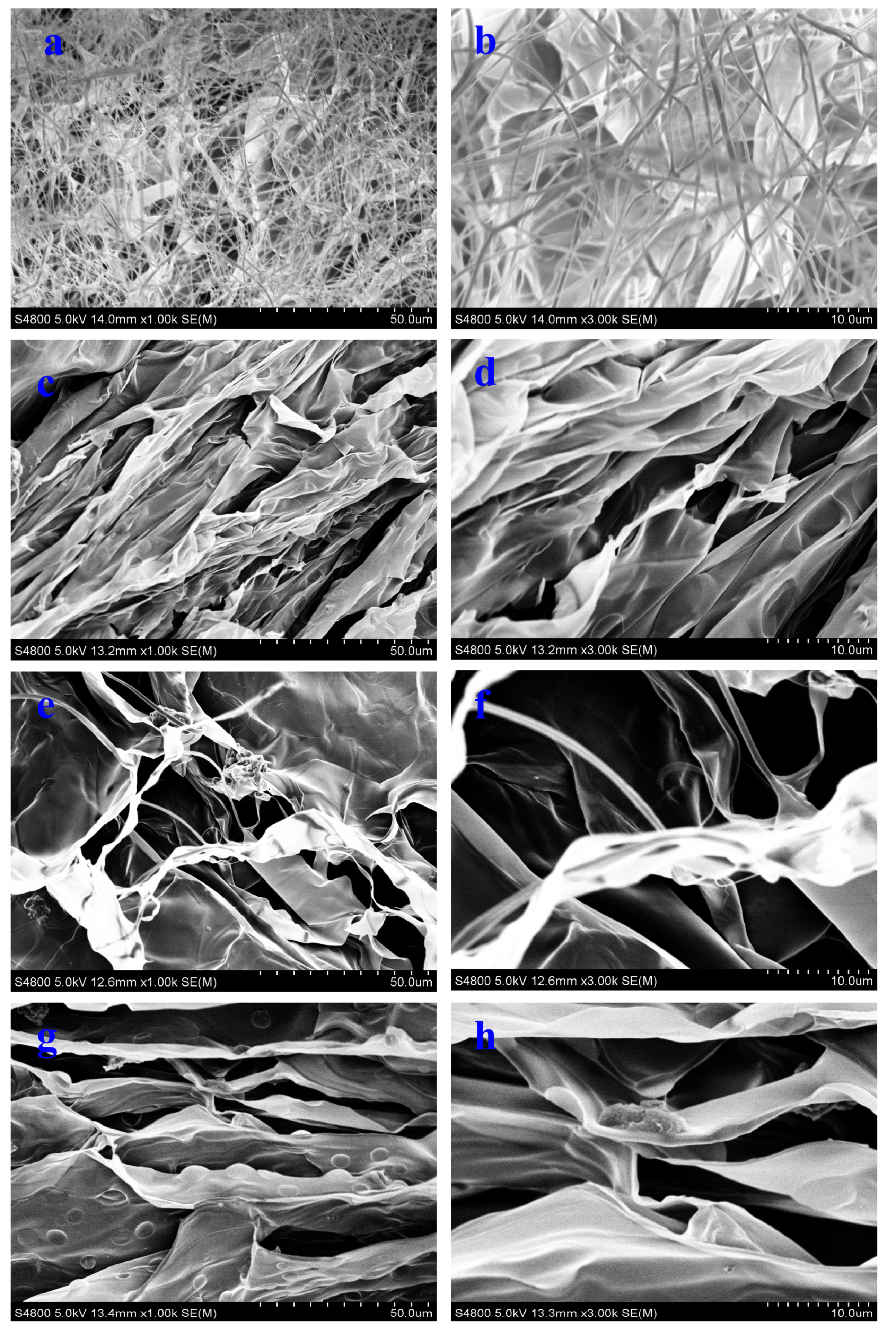 Polymers 17 00869 g001
