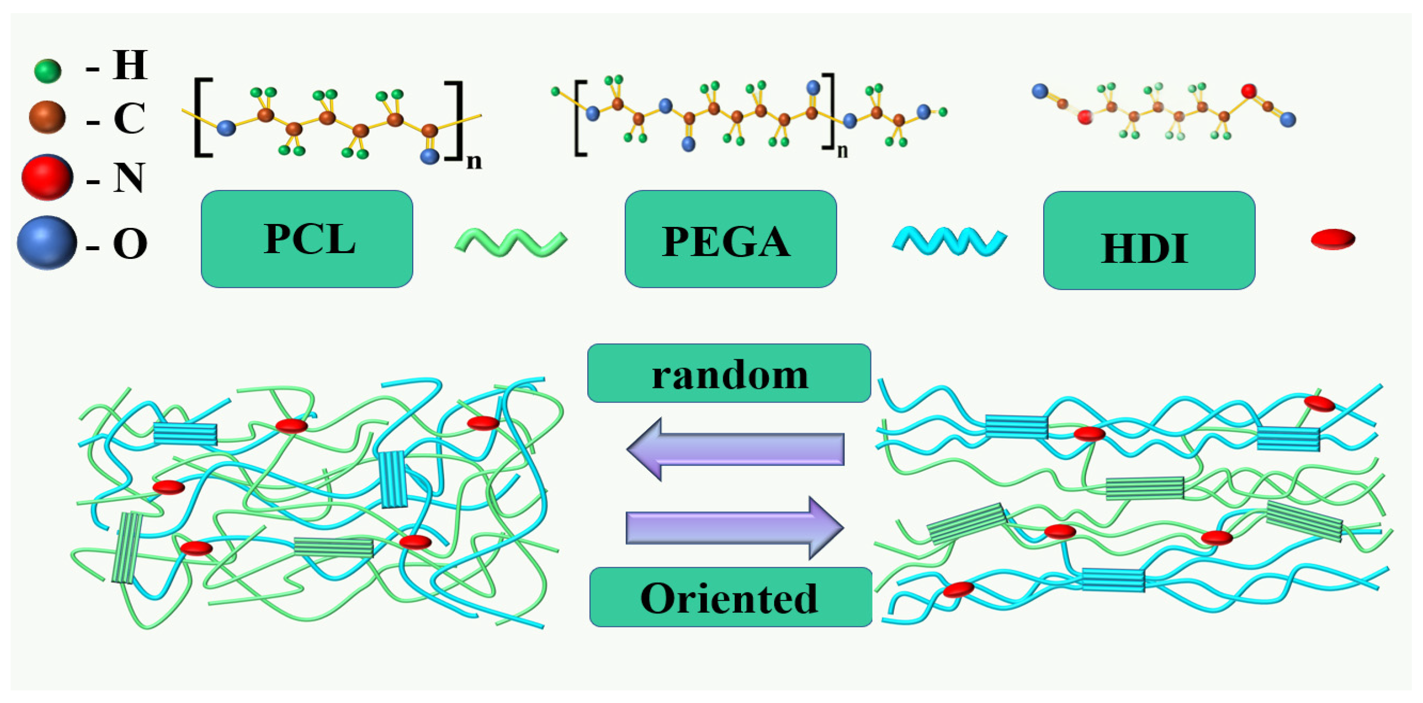 Polymers 17 00872 g001