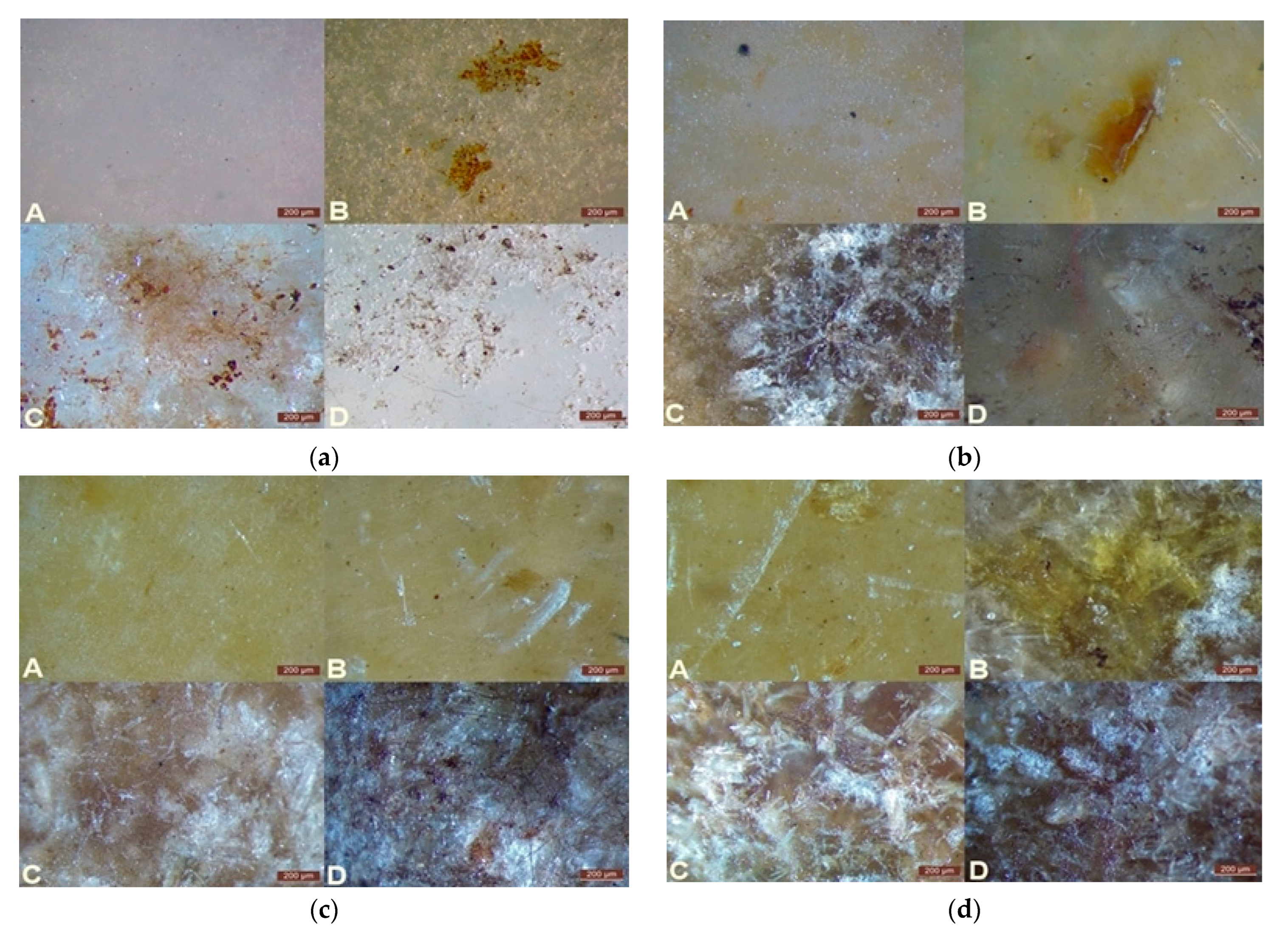 Polymers 17 00883 g004a